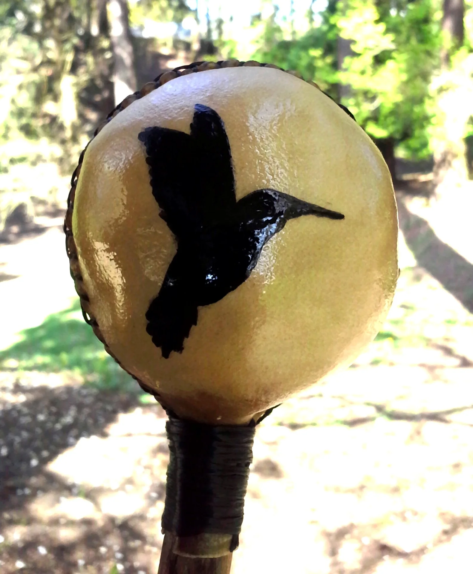 Rattle_Round_Hummingbird.jpg