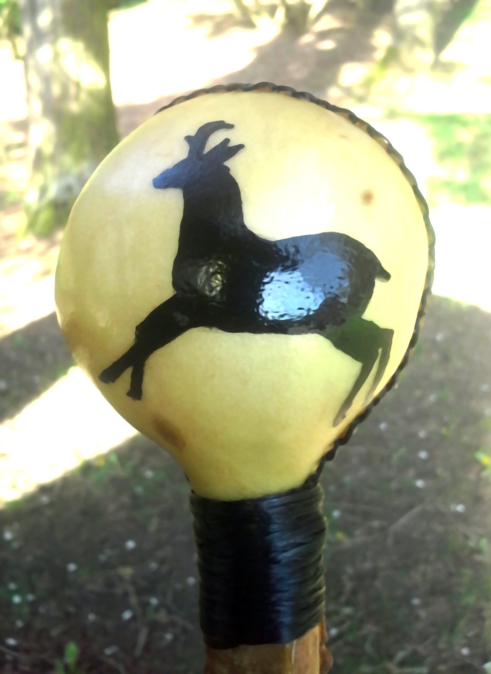 Rattle_Round_Antelope.jpg