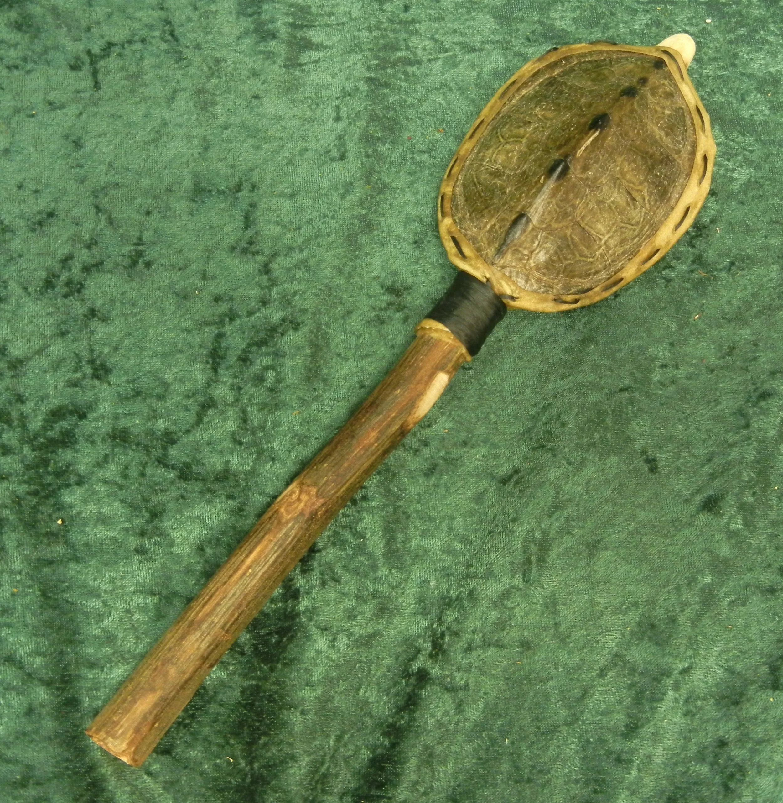 Rattle_Turtle_Black02.JPG