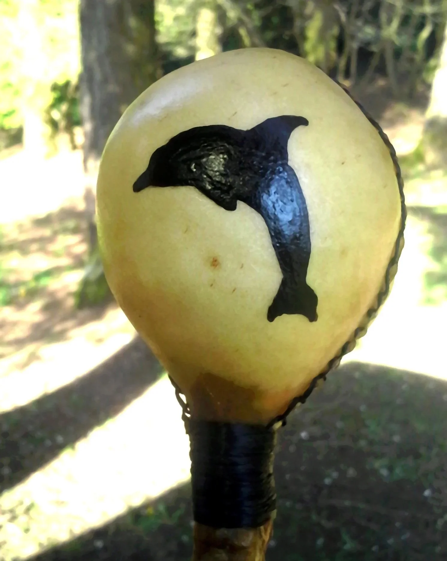 Rattle_Round_Dolphin.jpg