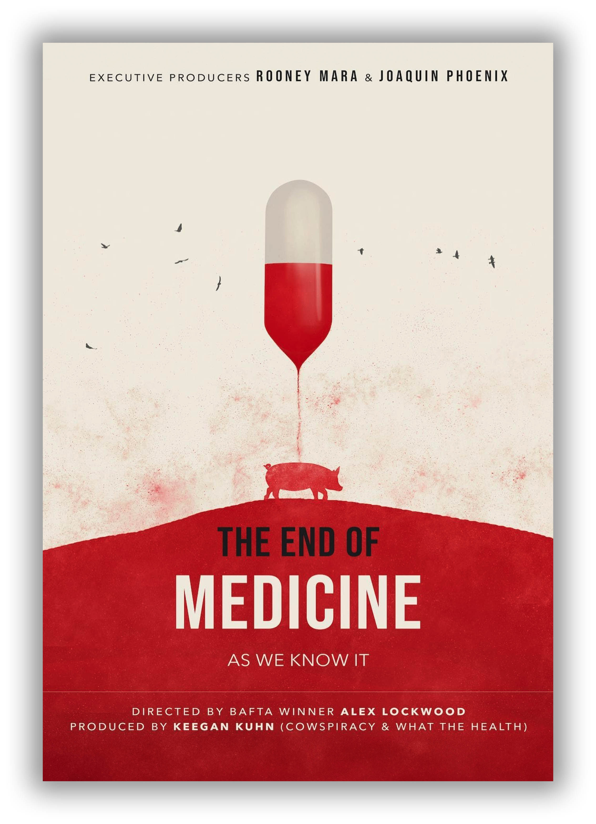 A book cover titled 'The End of Medicine: As We Know It' with a graphic of a capsule pill emitting a trail, a pig silhouette above the trail, and black birds flying around the pill against a red and beige background.
