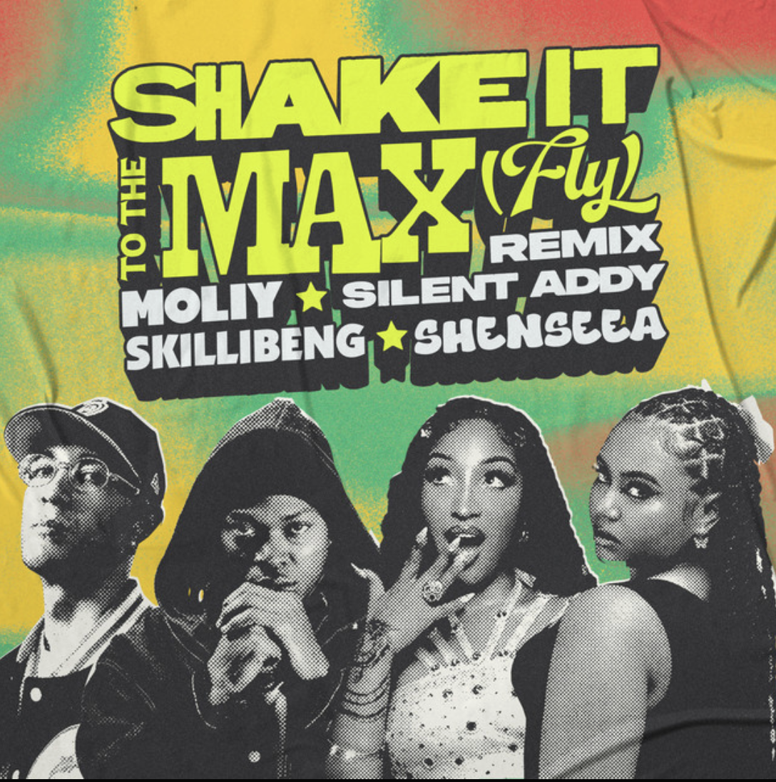 Shake It To The Max (Remix)