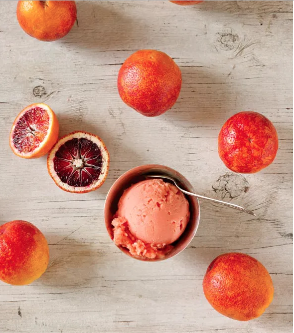 Blood Orange Sorbet