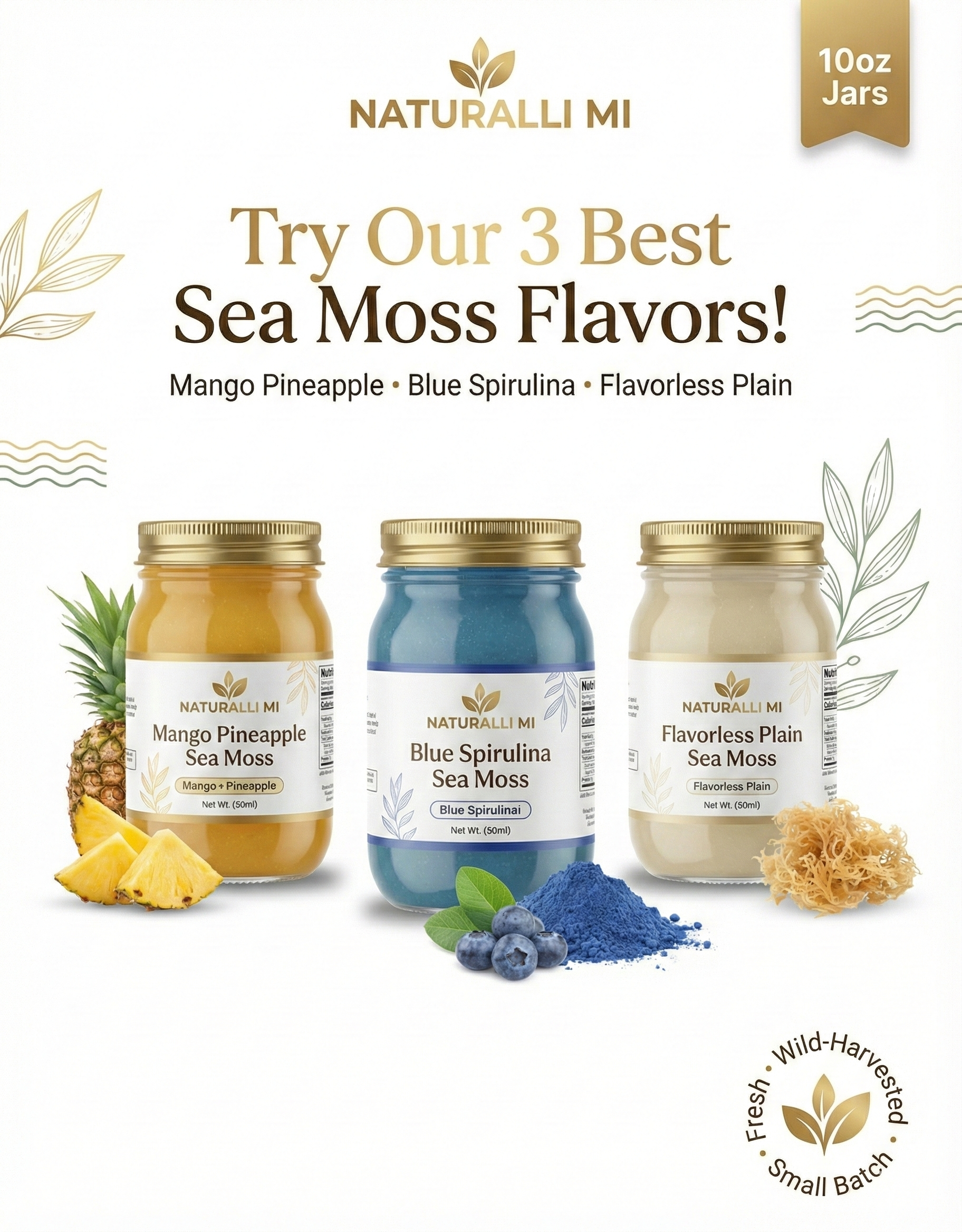 The Immunity + Energy Trio Bundle