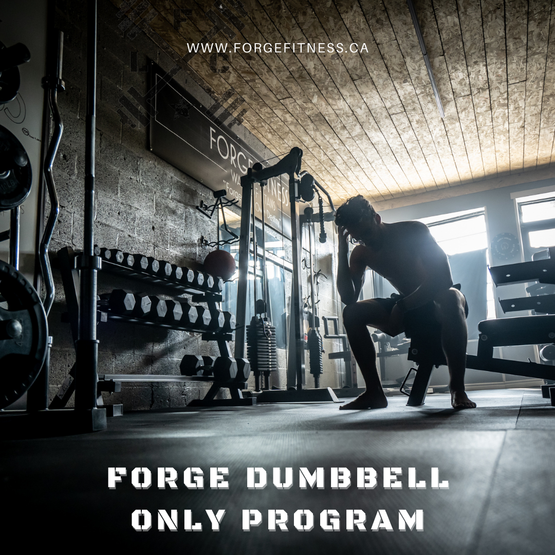 HOURGLASS PROGRAM 9-WEEK DUMBBELL ONLY (HOME)
