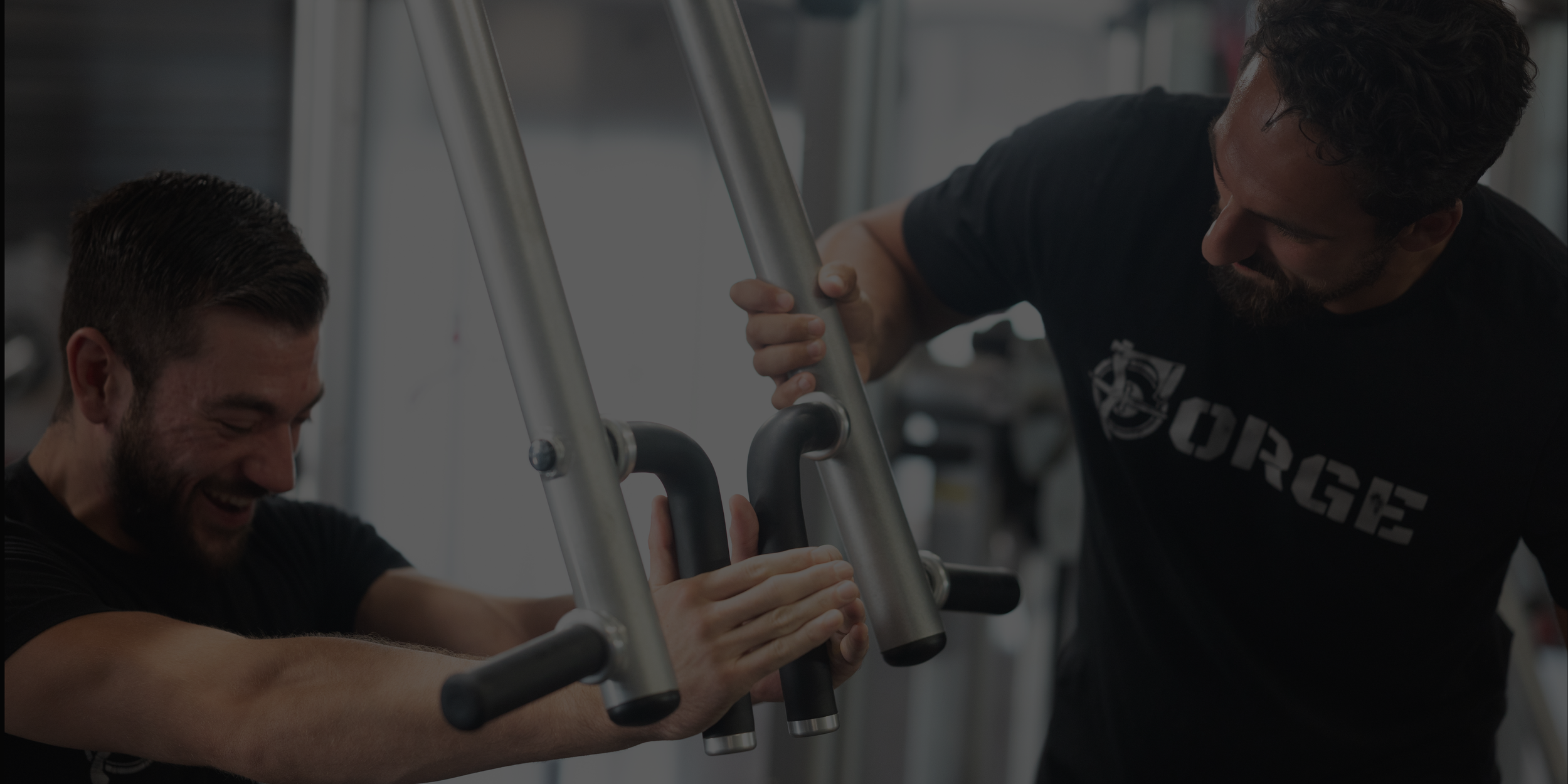 Programs & Prices — Personal Training in Fenwick | Forge Fitness ...