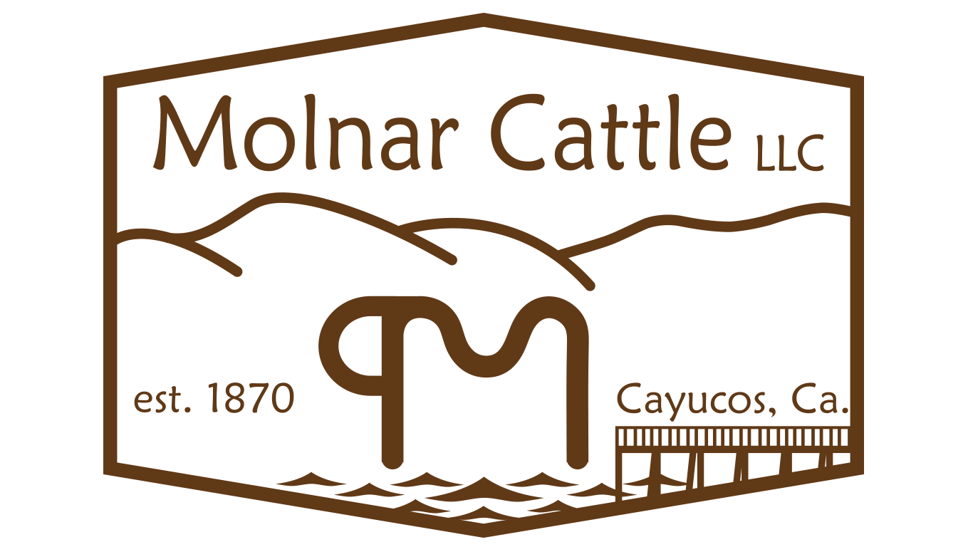 Molnar Cattle LLC