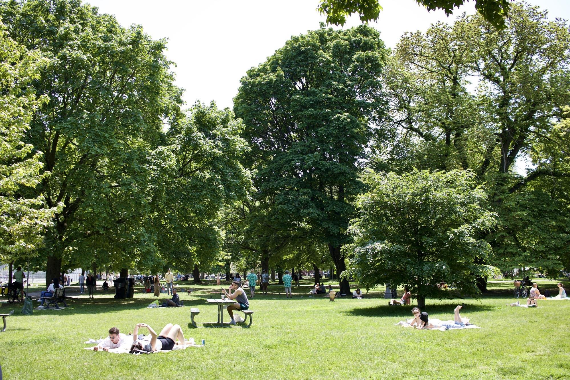 People lounging and playing in Trinity Bellwoods Park, Toronto, ON (Photo by: Nicole Roach)