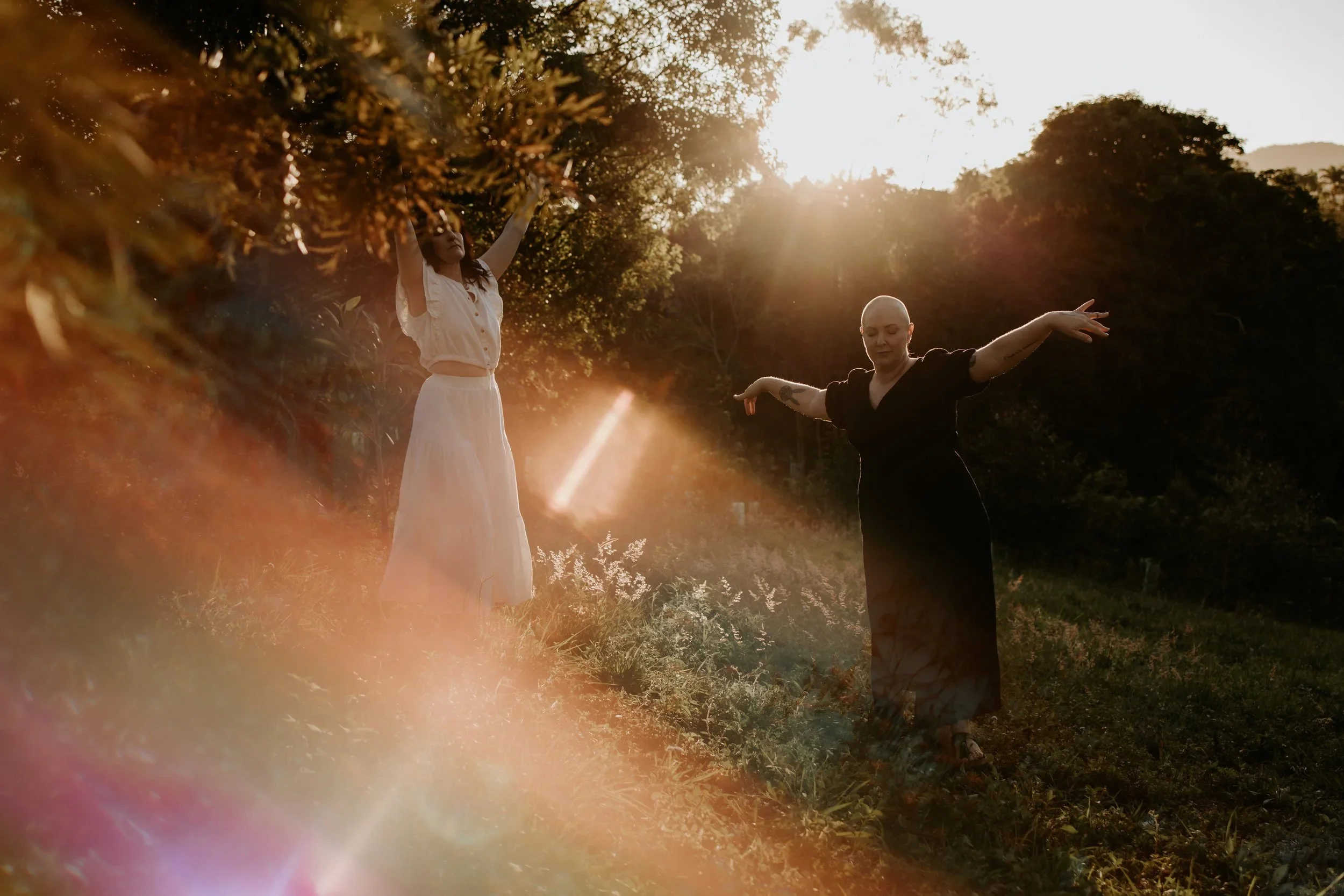 Living Landscape Dance Series Saturday 8th August - Saturday 5th September