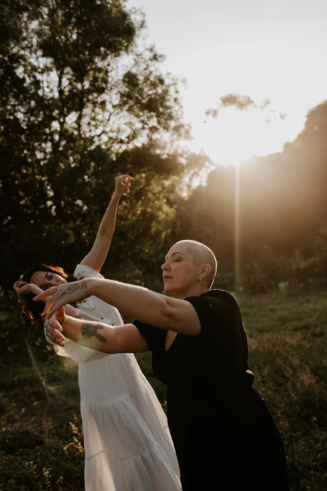 Living Landscape II - Dance Series