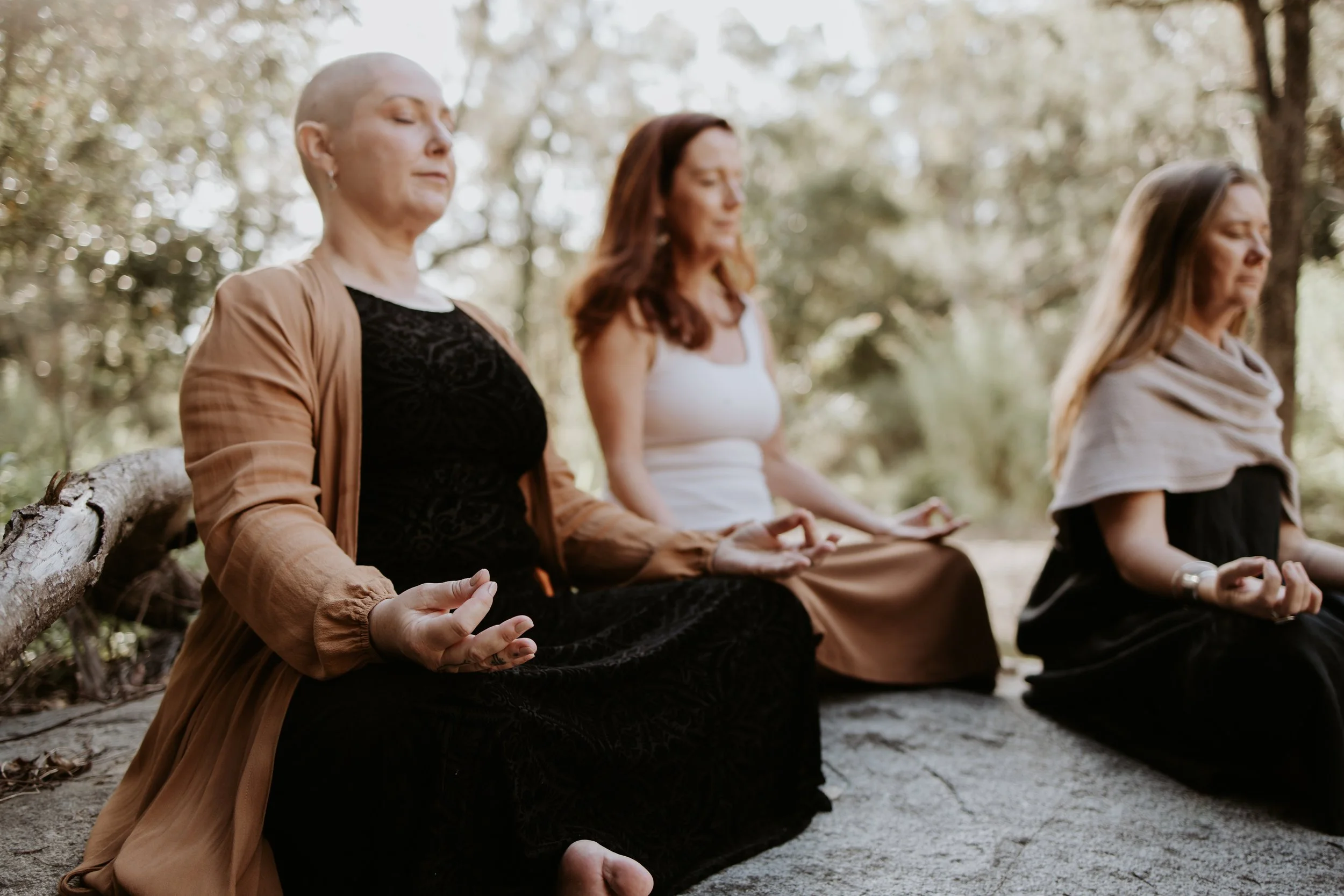 Four women sit cross-legged on a log in a forest, meditating with closed eyes during daytime.