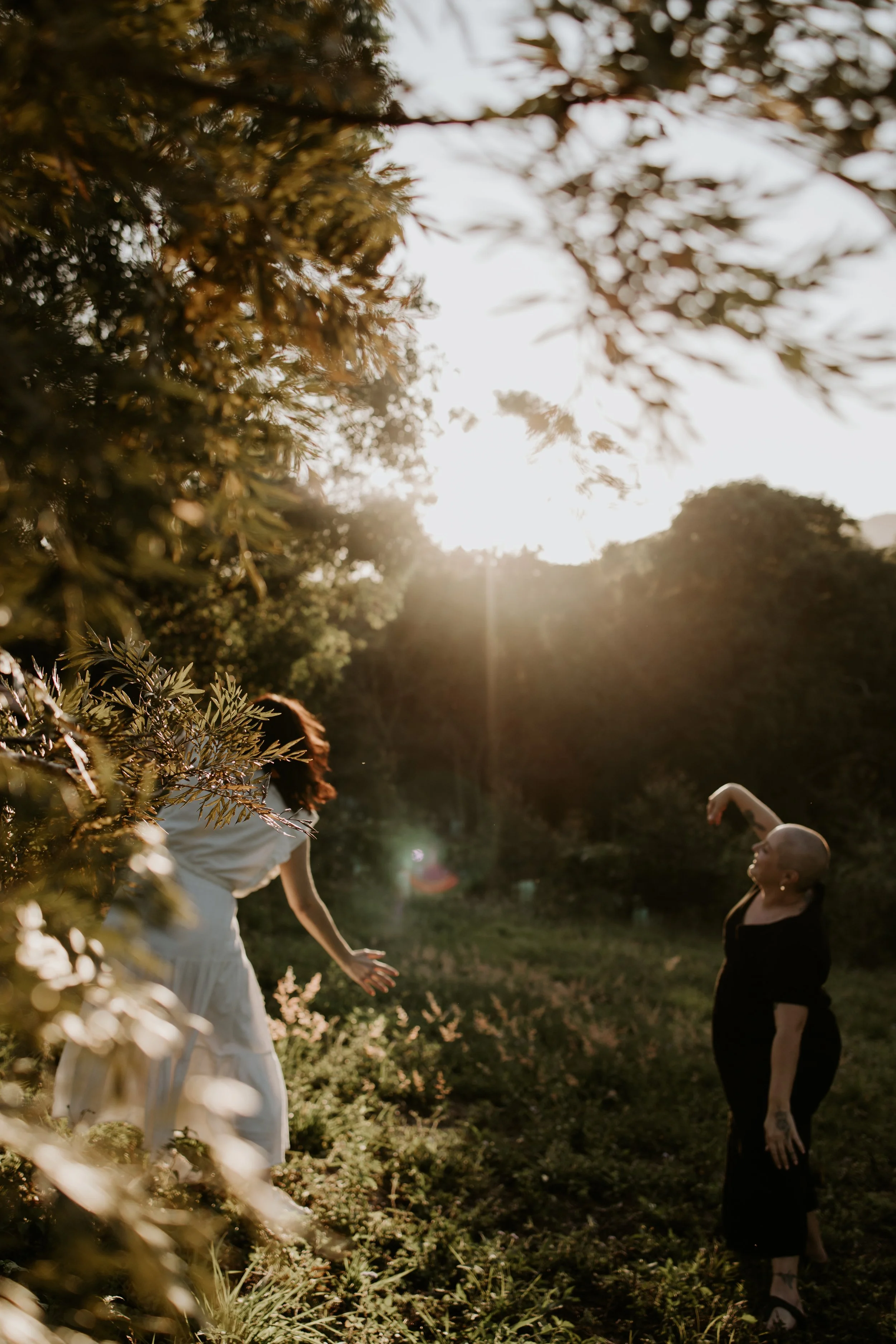 Living Landscape III - Dance Series