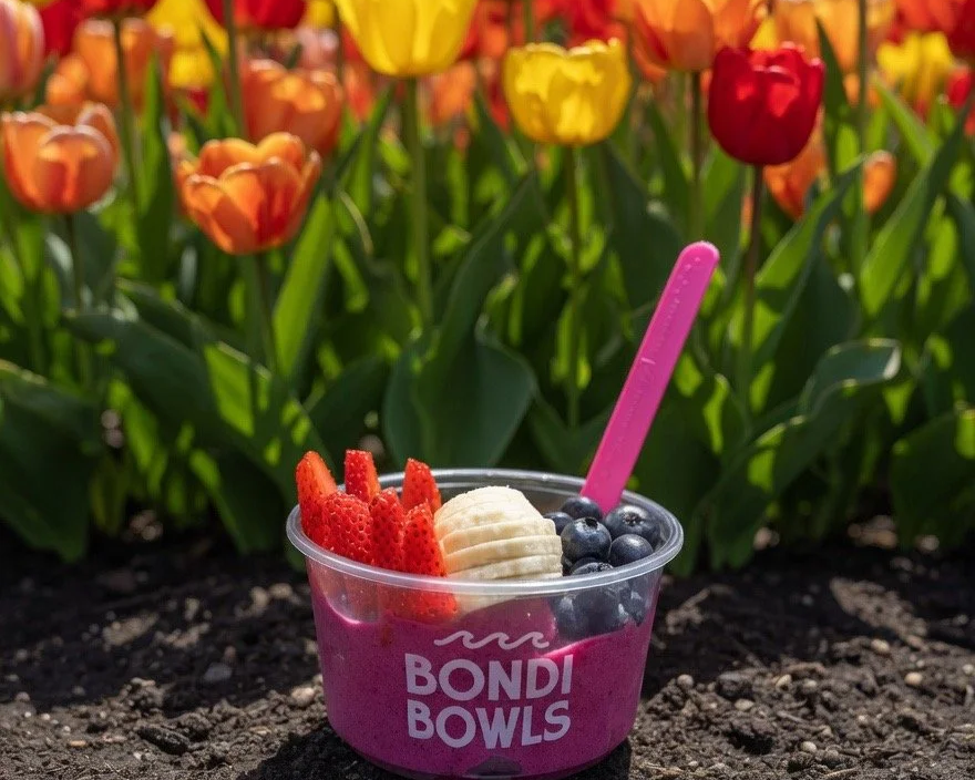 Tulip Time