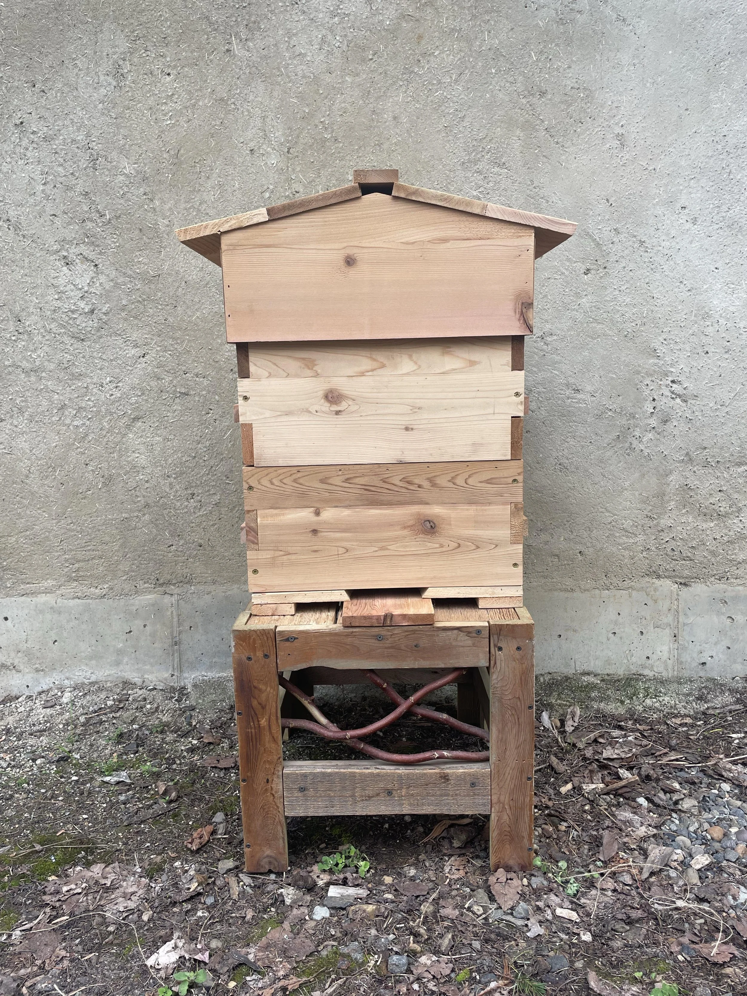 Cork Dream Hive
