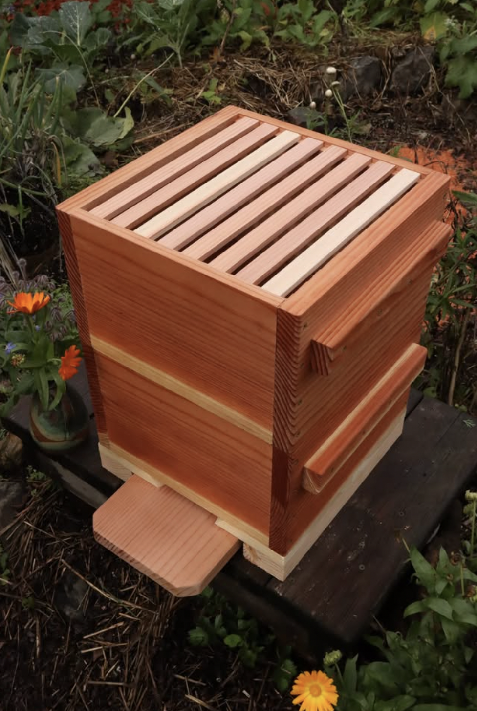 Screen Shot 2026-01-16 at 6.55.39 PM.png