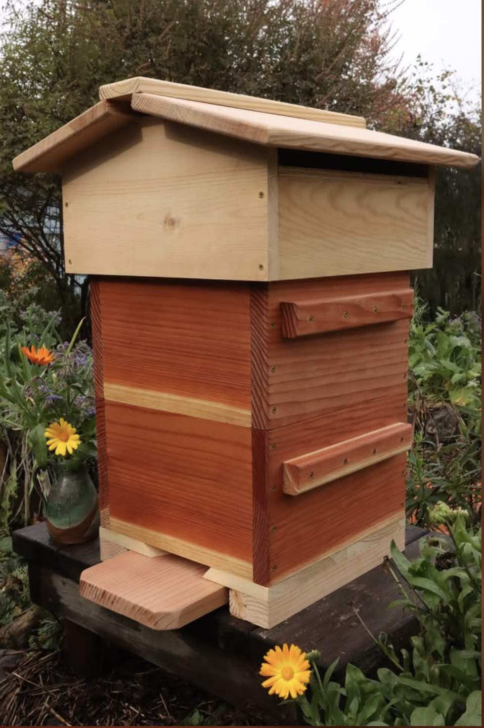 Screen Shot 2026-01-16 at 6.54.54 PM.png