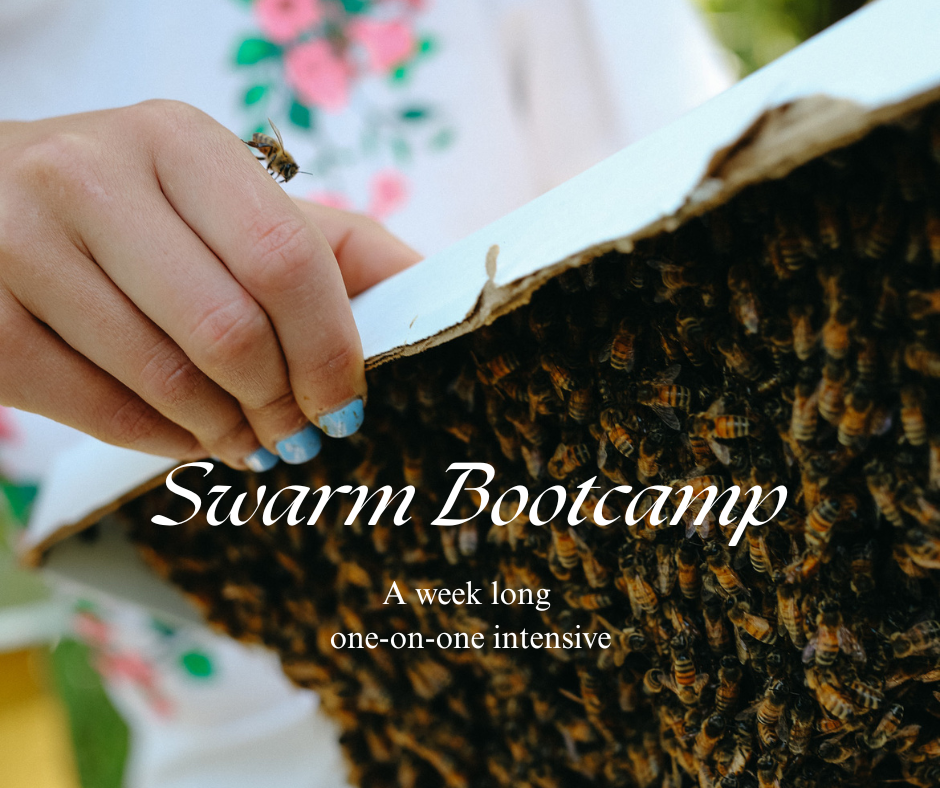 Swarm Bootcamp