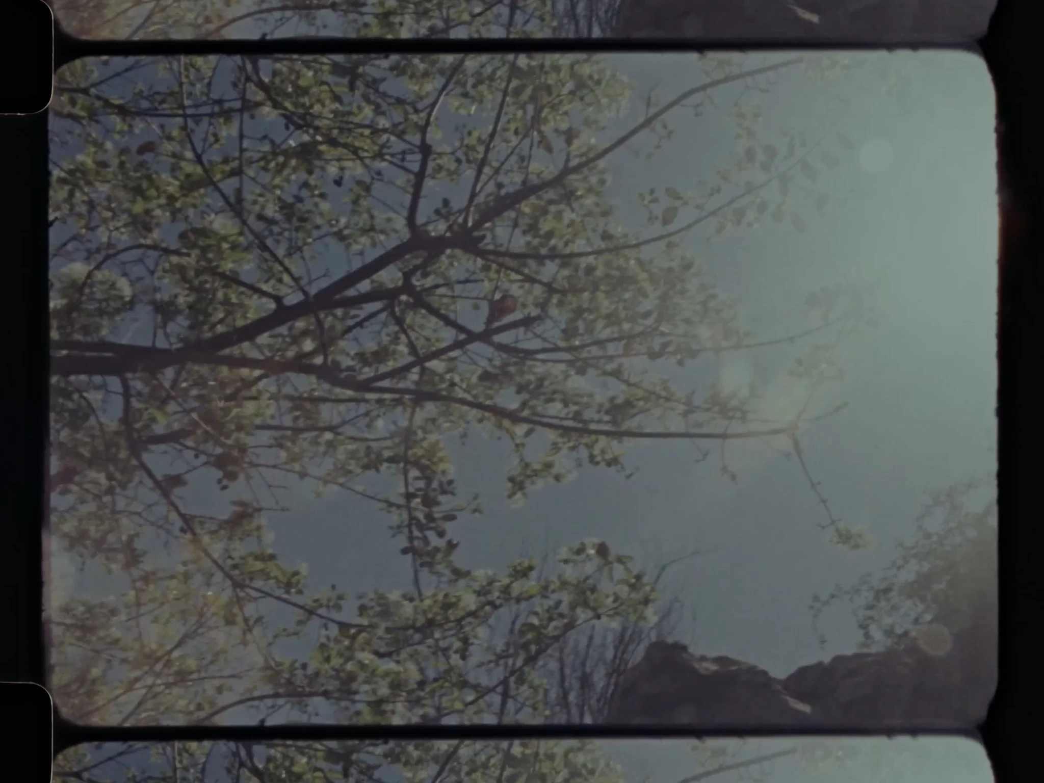 Still 2026-04-09 112617_1.175.1.jpg