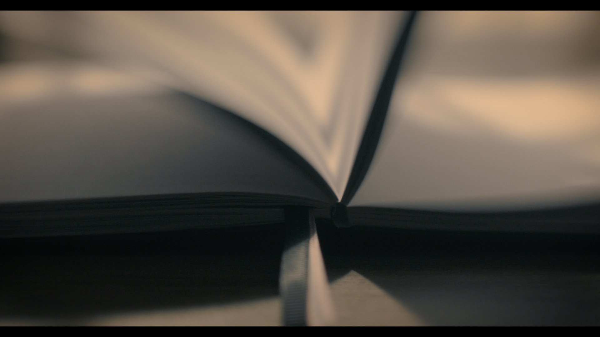 Still 2026-02-26 162950_1.14.1.jpg