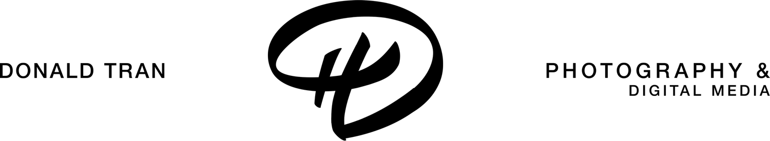 don tran digital media