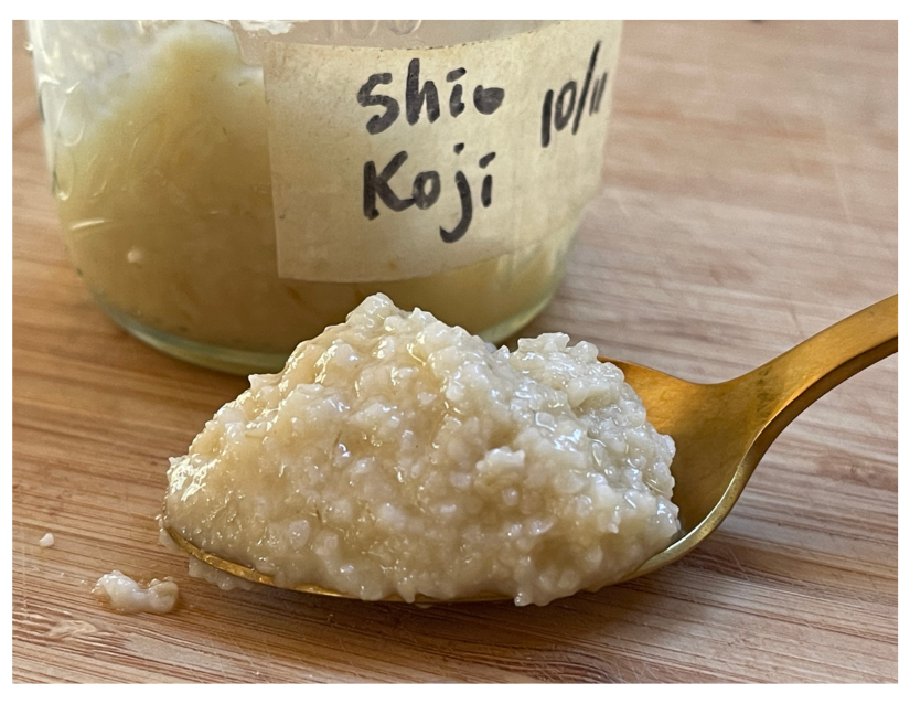 Homemade Shio Koji 