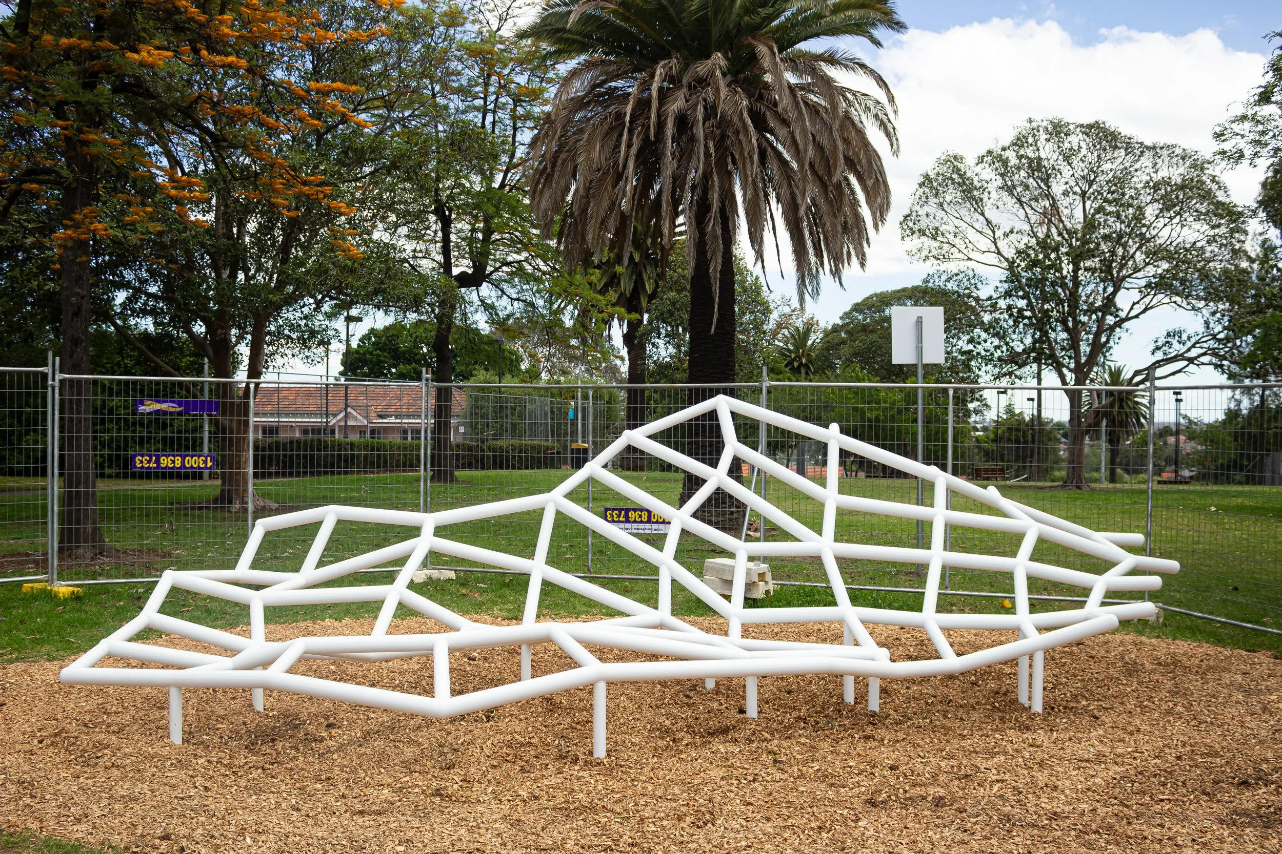 JAMES NGUYEN - "SafetyNet"