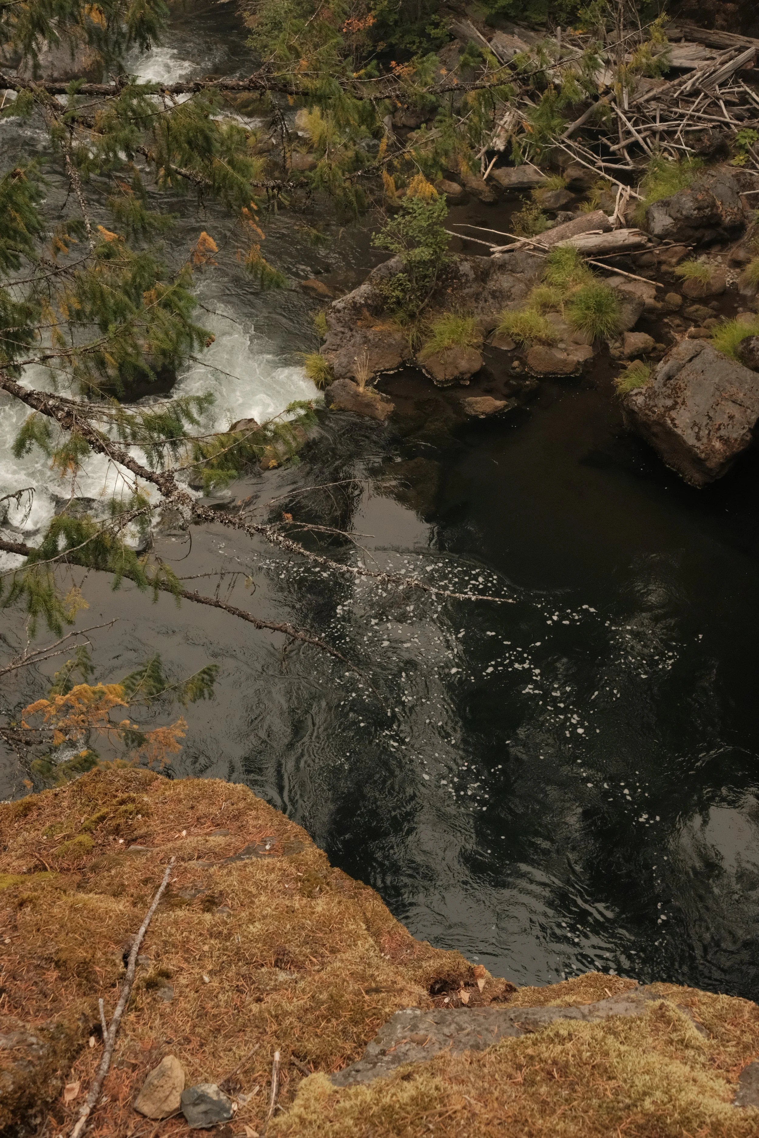 DSCF5558.JPG