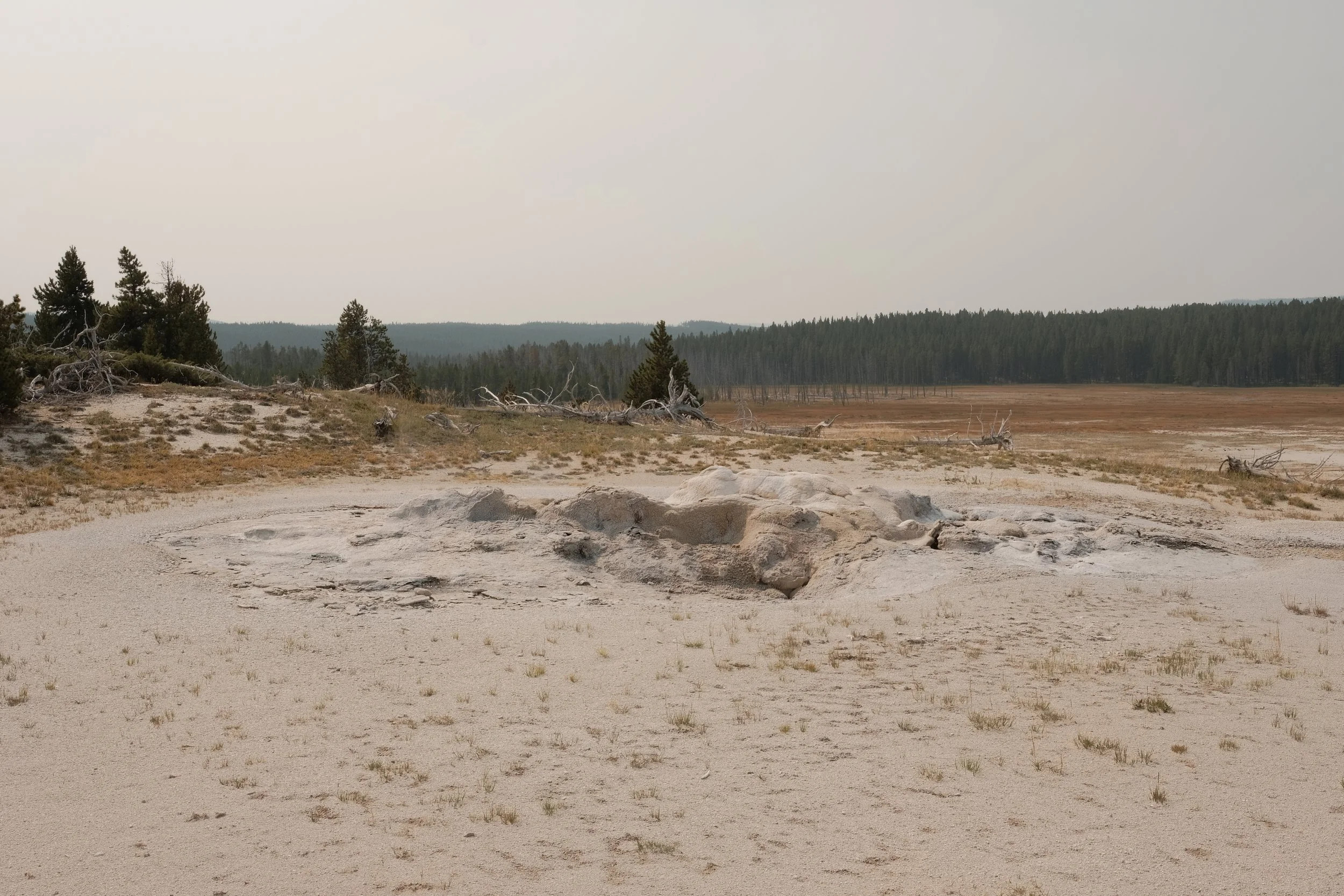 DSCF4819.JPG