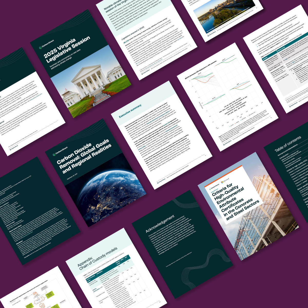 Publication Design