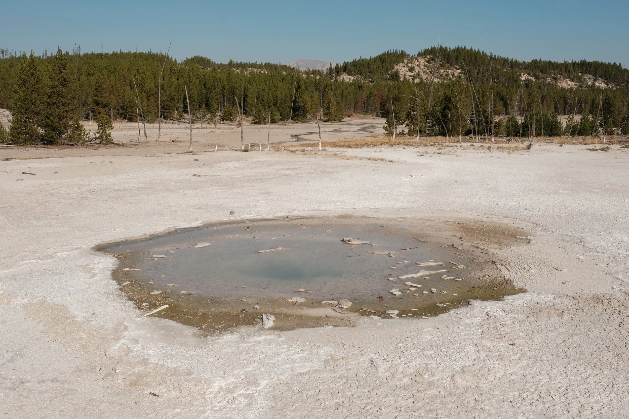 DSCF4717.JPG