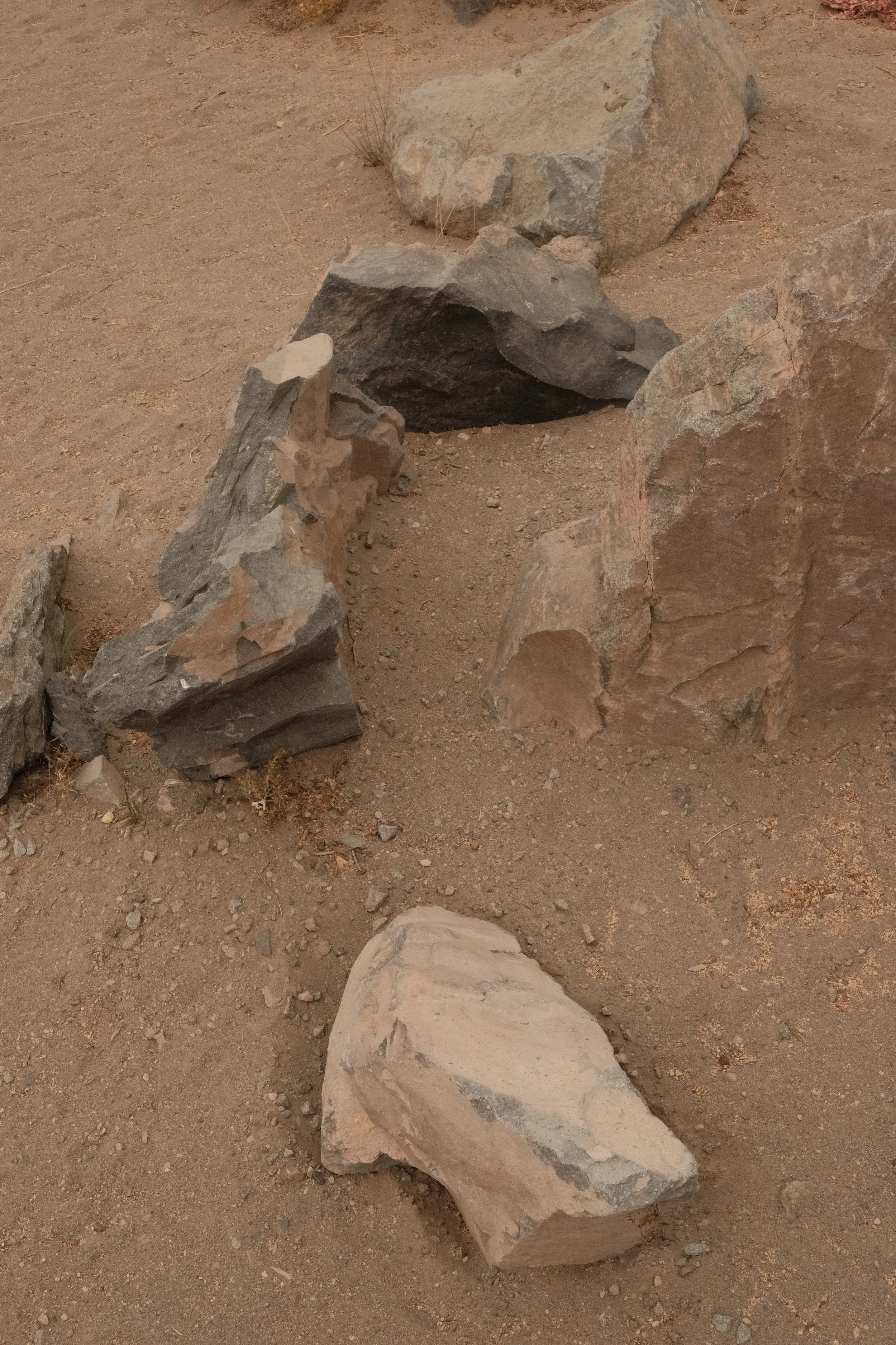 DSCF5529.JPG