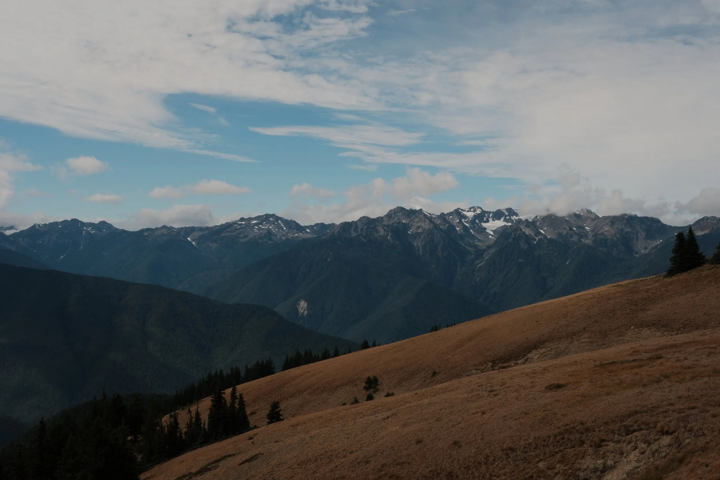 DSCF5231.JPG