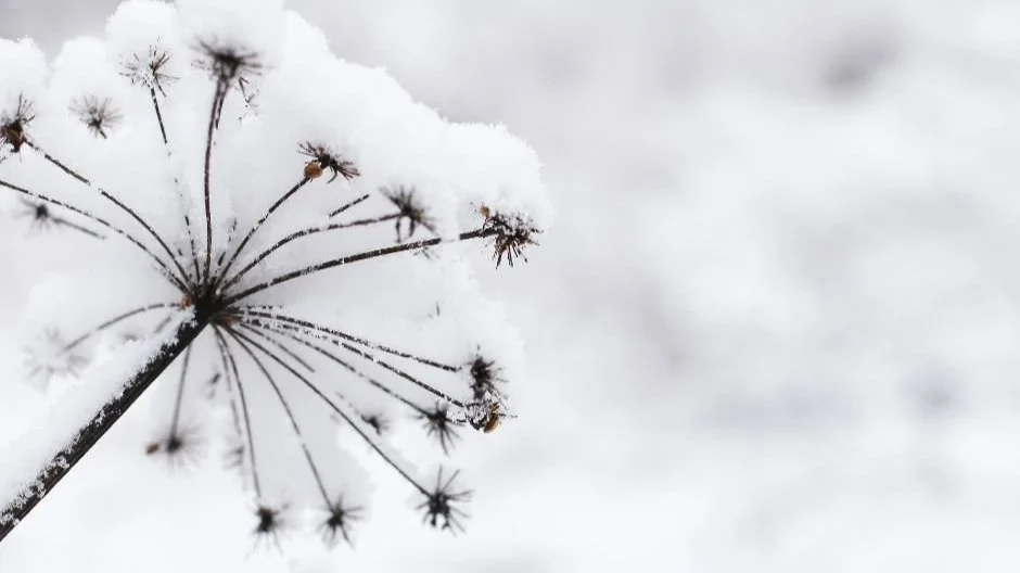 CREA O MEJORA TU WEB ESTE 2024