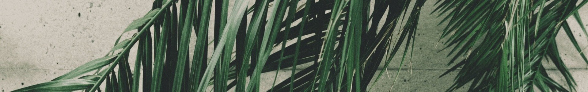 "Depression ist wie eine Frau in schwarz. Wenn sie auftaucht, scheuche sie nicht fort. Lade sie ein, biete ihr einen Sitzplatz an, behandle sie wie einen Gast und höre zu, was sie sagen möchte.