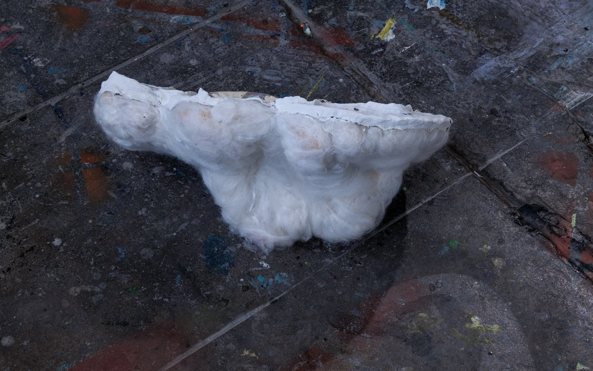 From Oyster to pearl 2 jpg.jpg