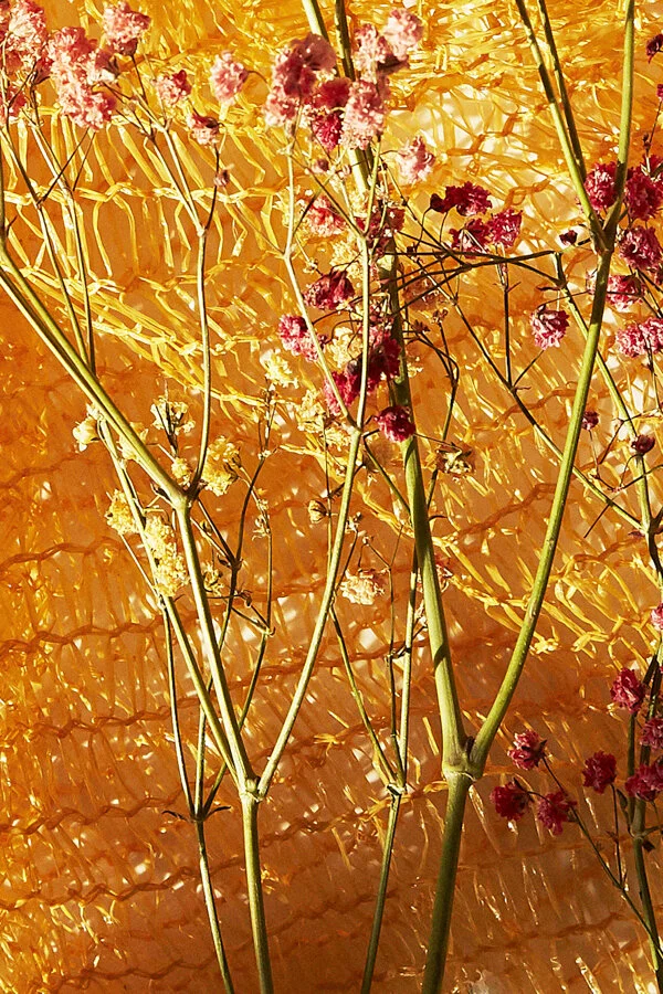 Hooligans_Mag_Touch_01054005_crop_closeup copy_LOW_Hestehave_900px.jpg