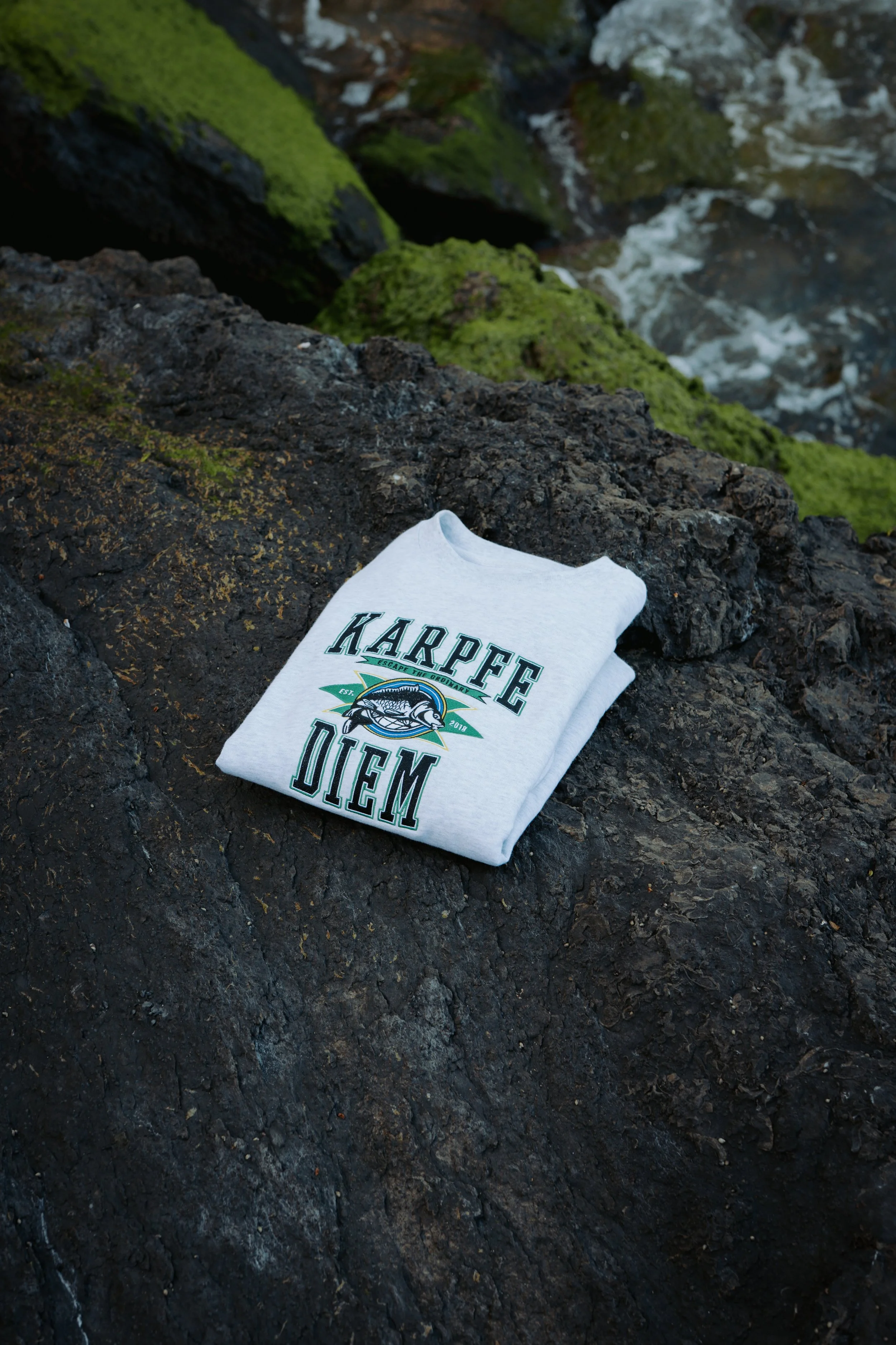Karpfe_Diem_Sweater_hellgrau (47 von 47).jpg