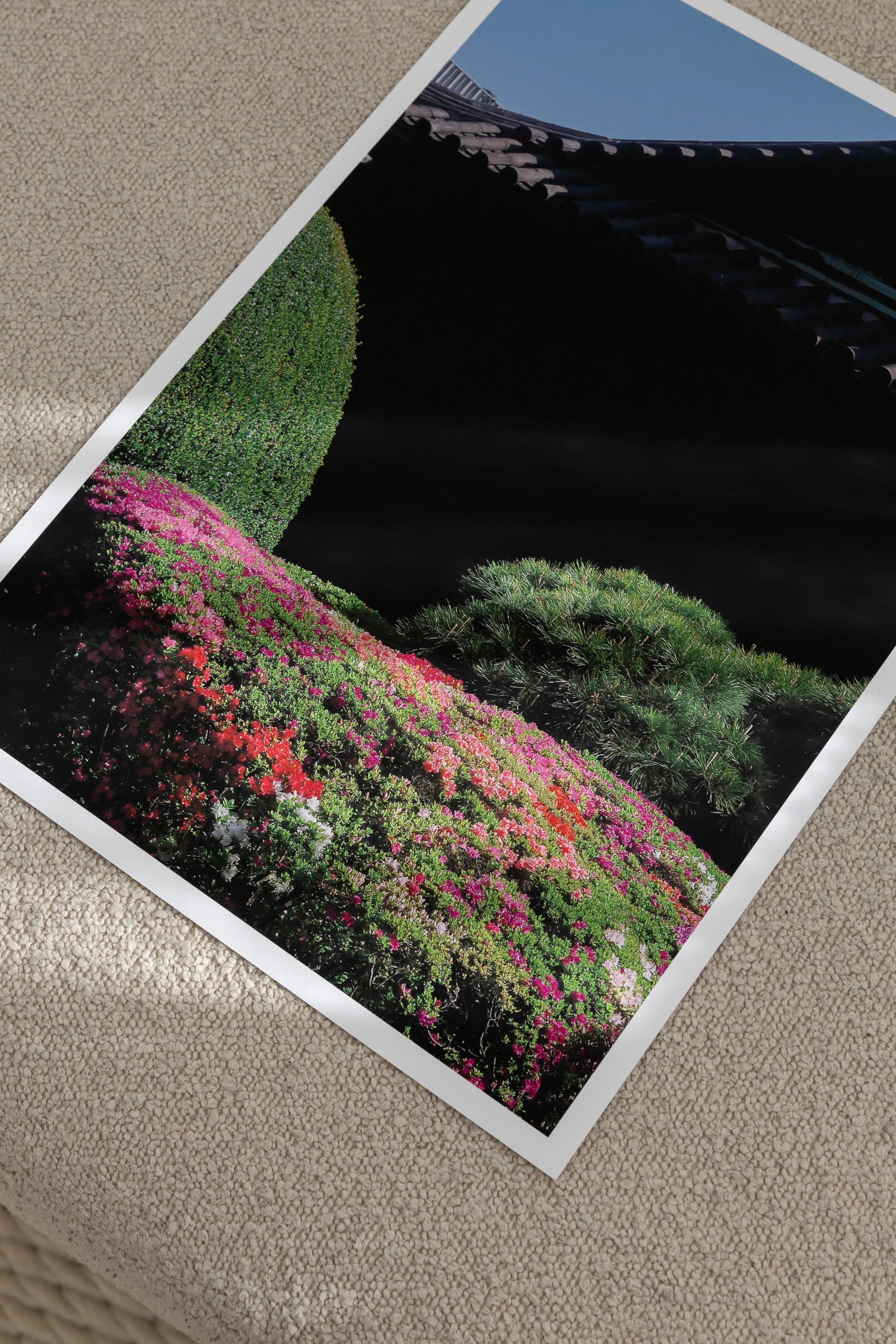 Japan-661A5196.jpg
