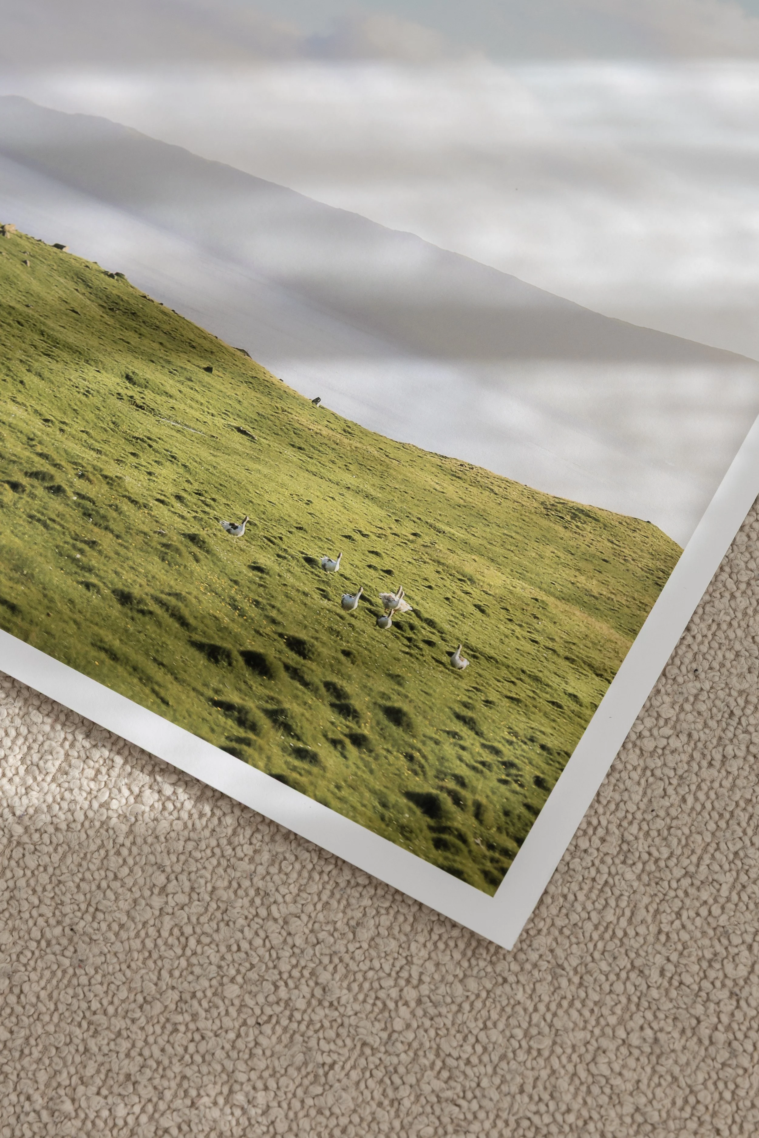 Faroes-661A5226.jpg