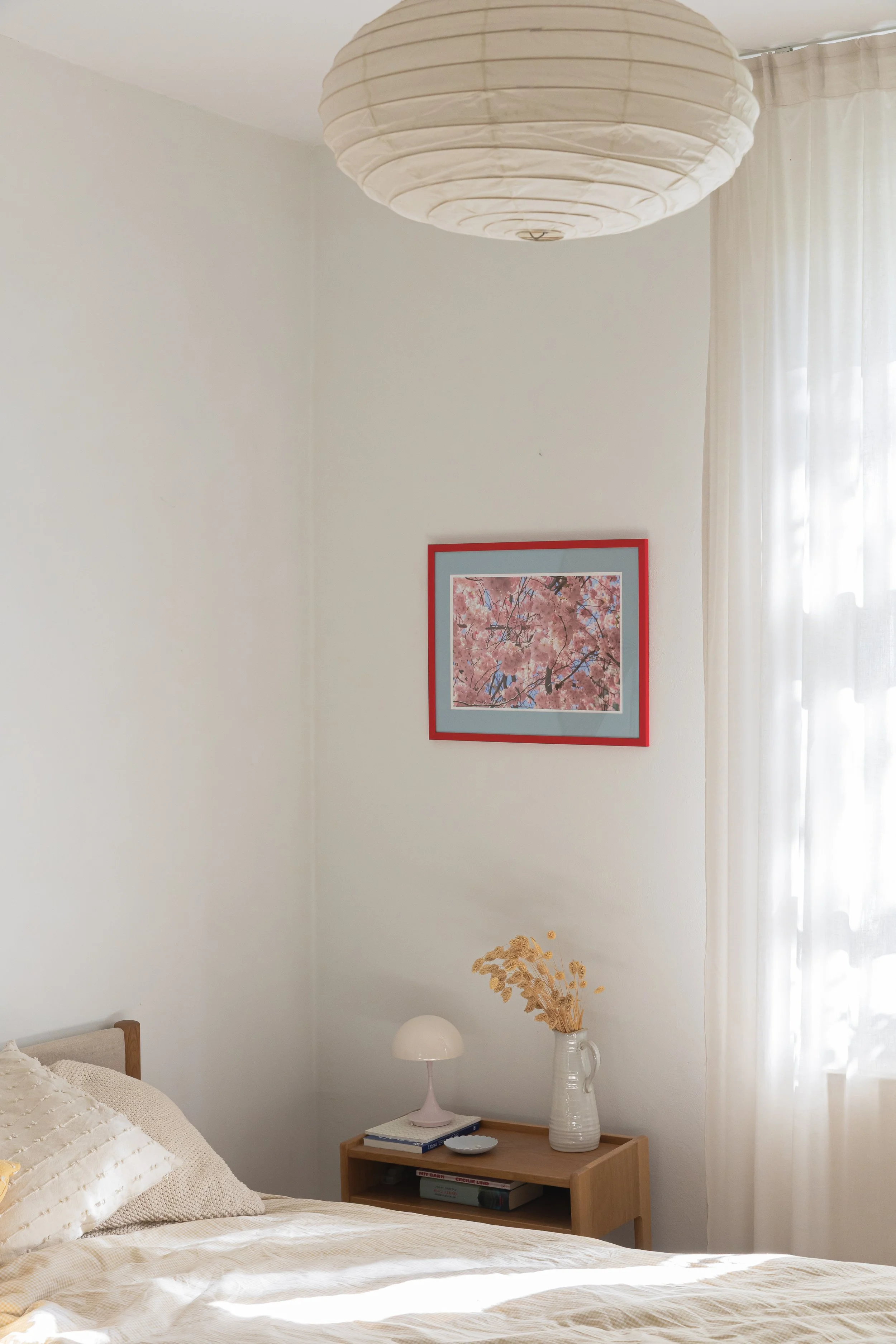 Sakura-661A4958.jpg