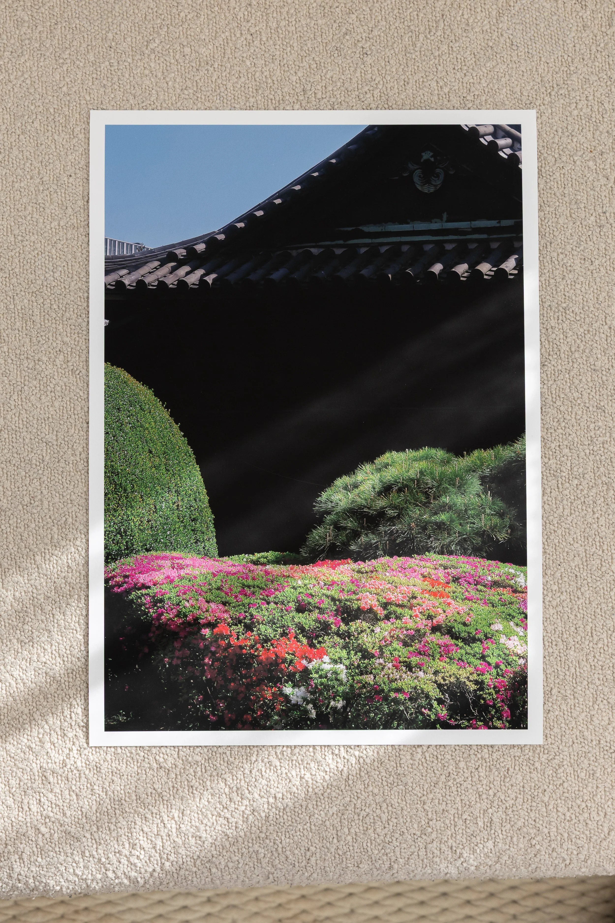 Japan-661A5195.jpg