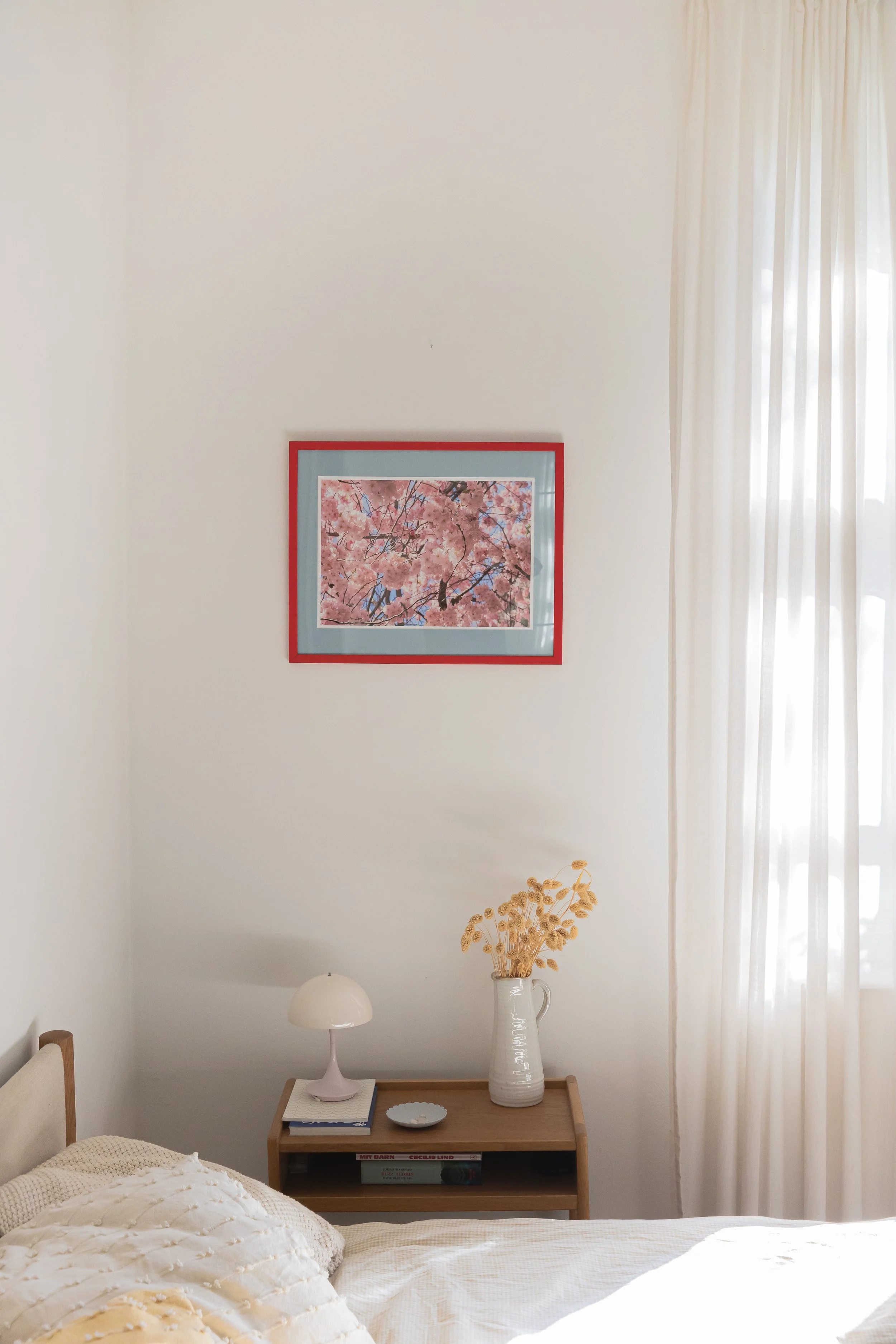 Sakura-661A4983.jpg