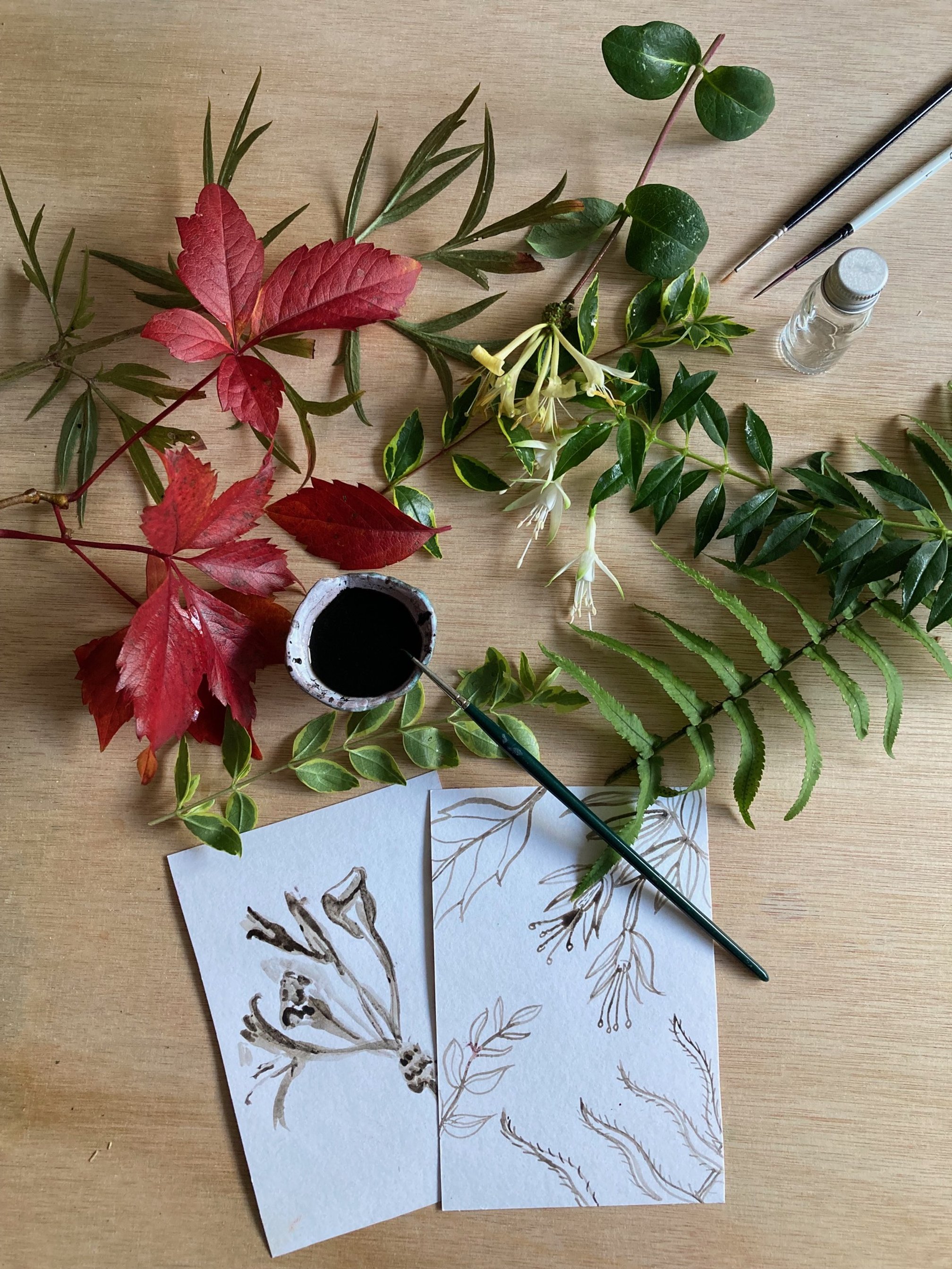 Oak Gall Ink.jpeg
