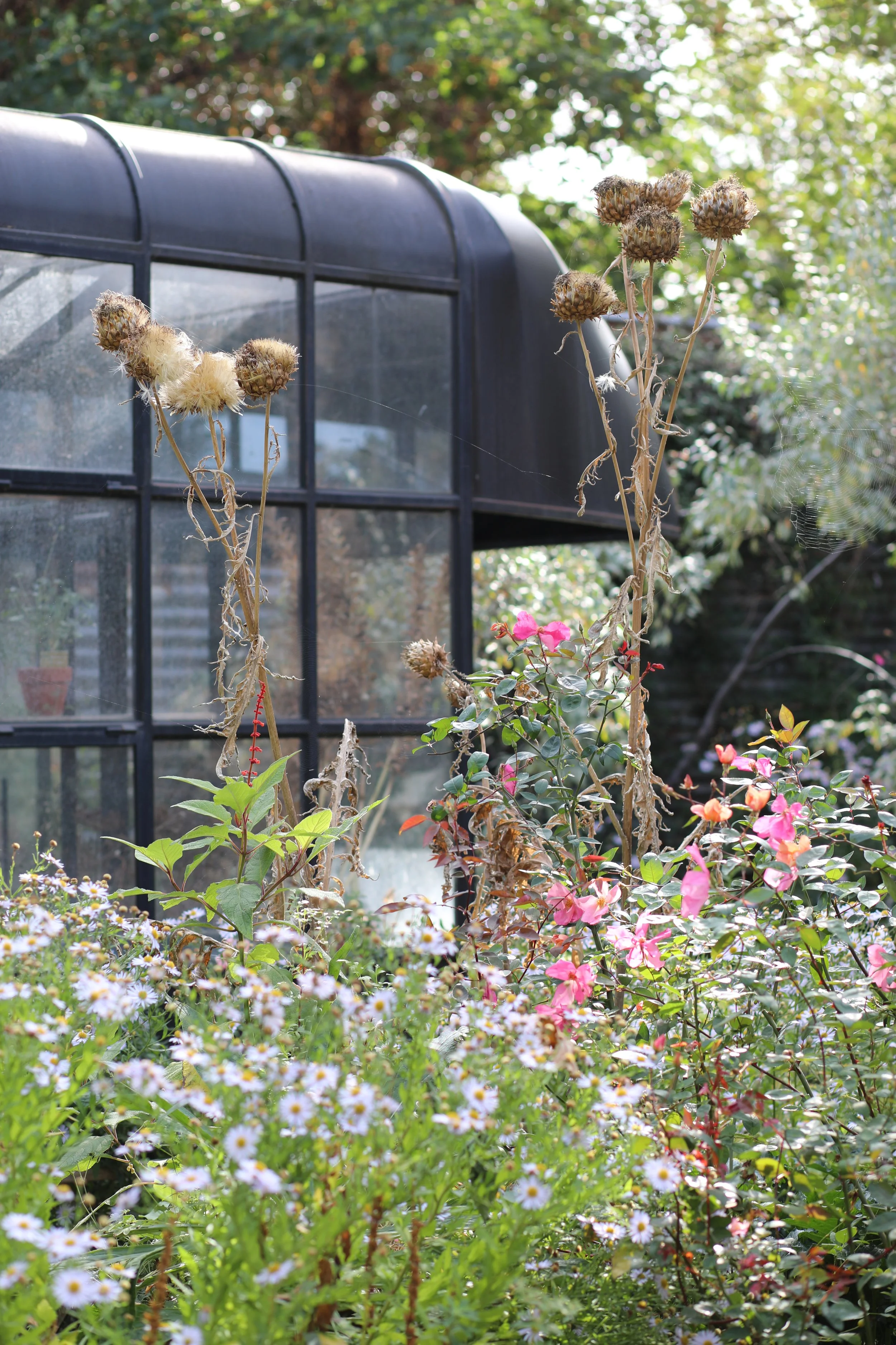 Visit our Sarah Price Garden