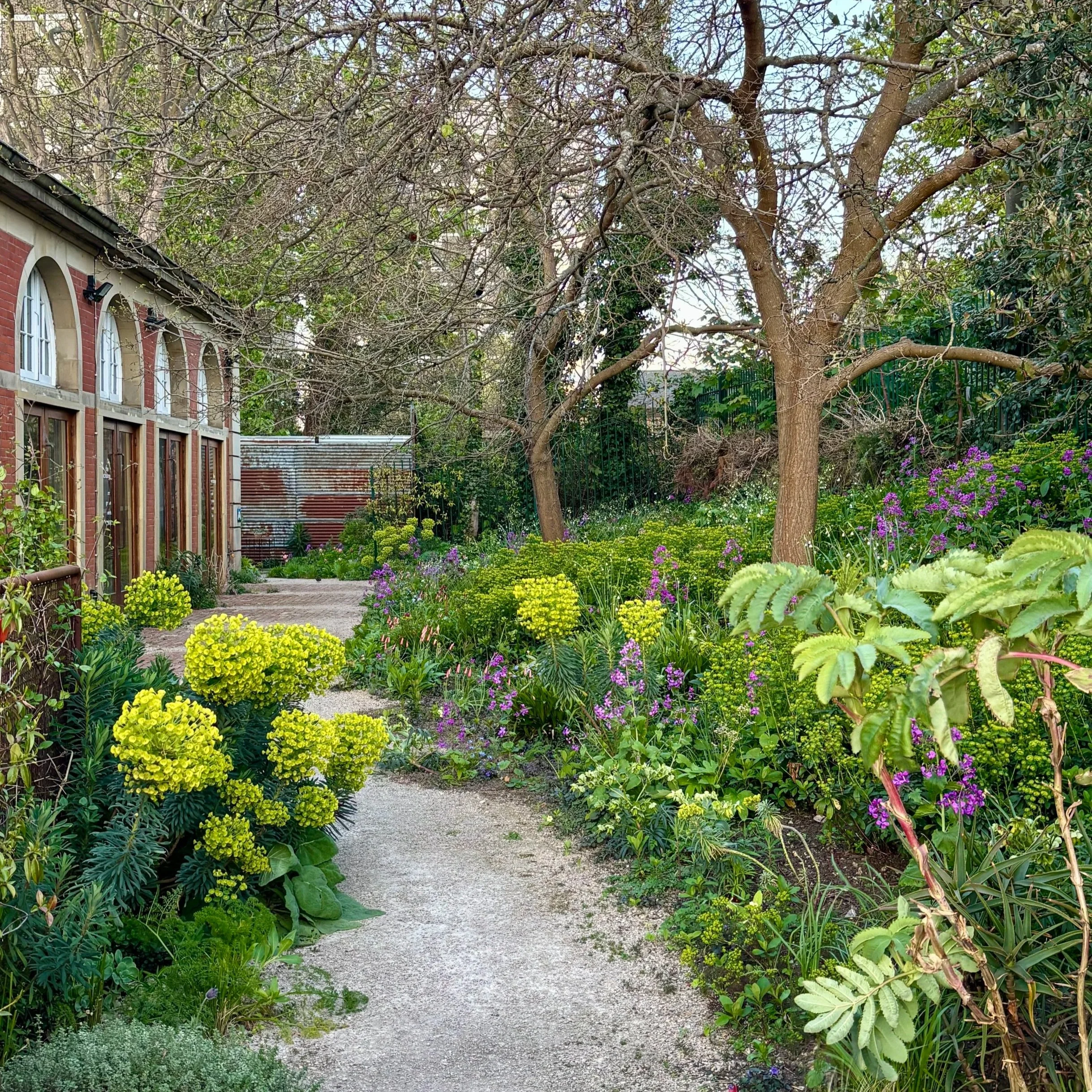 Garden April 26 I.jpg