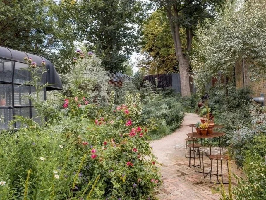 Sip into Spring: Create Your Own Rejuvenating Herbal Tea