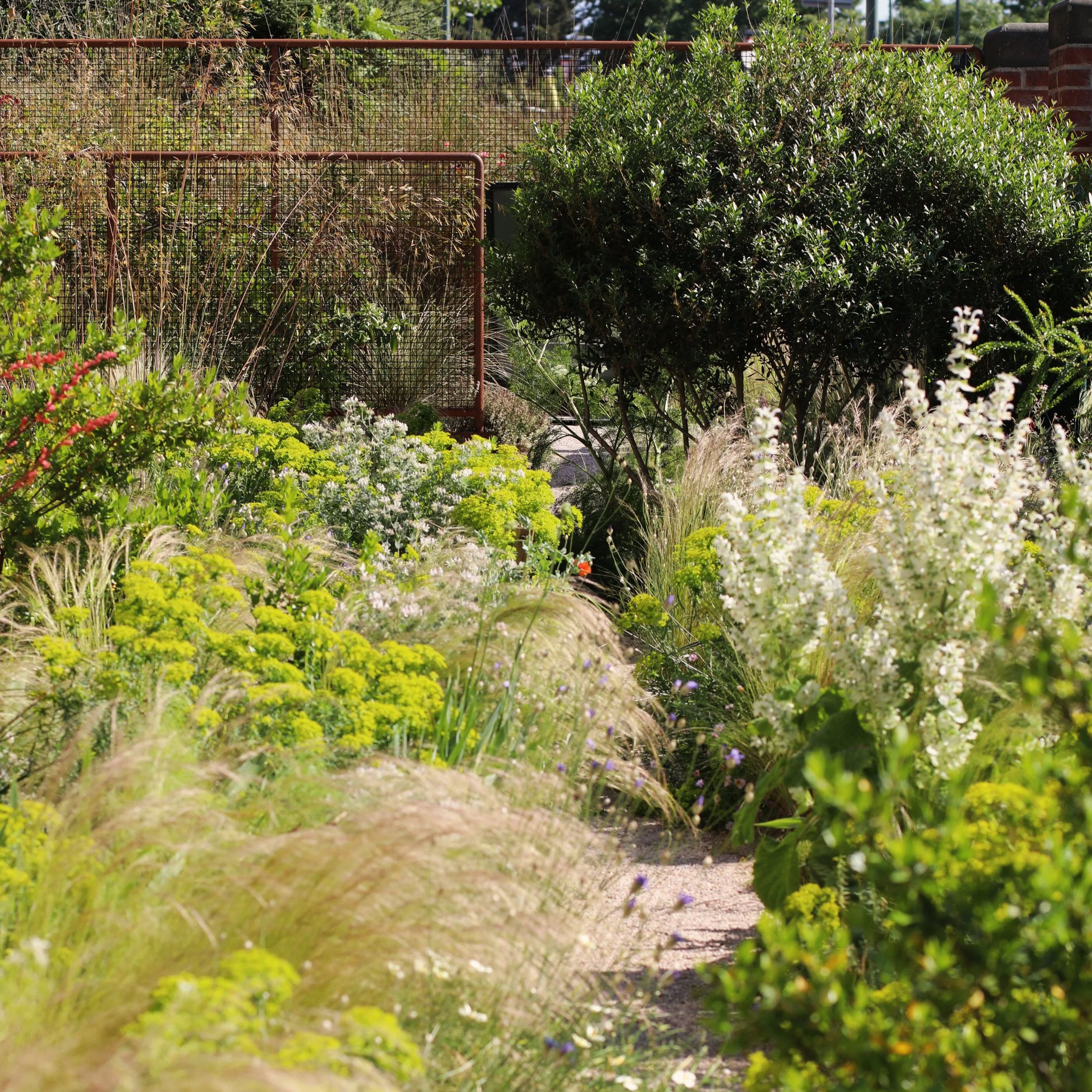 Garden%2BJune%2B25%2BV.png