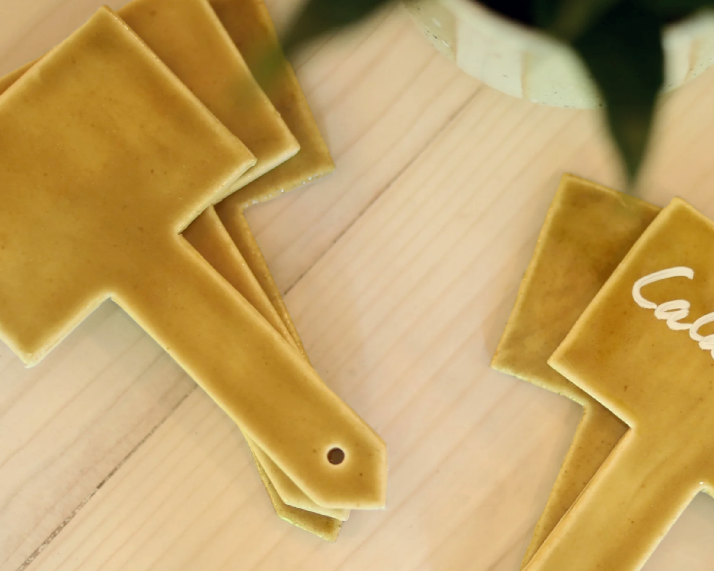 Ceramic Plant Labels shaped like hammers, with one engraved with the name 'Calathea' and a small 'x', on a wooden surface.