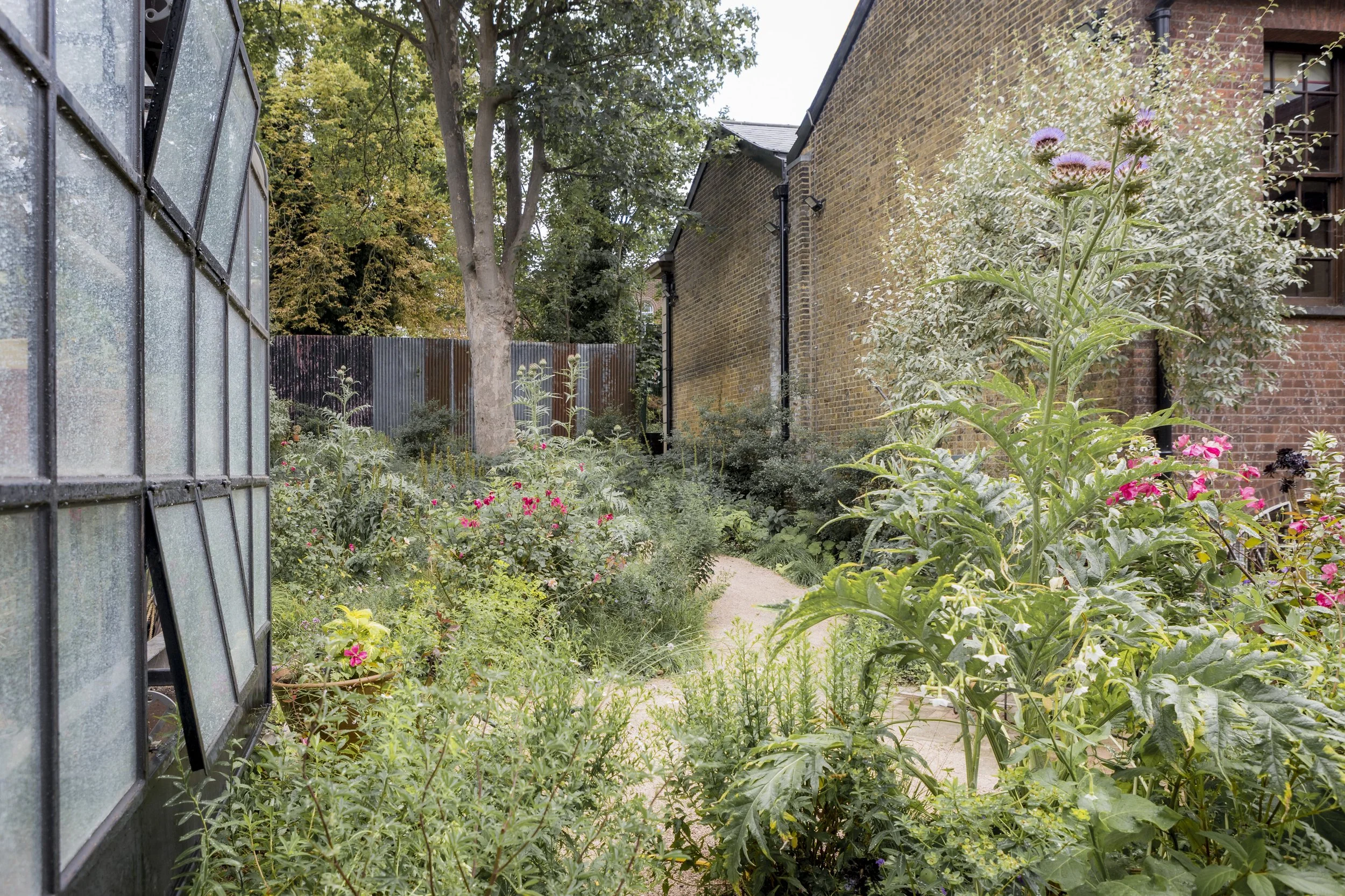 Garden June 25 IV.jpg
