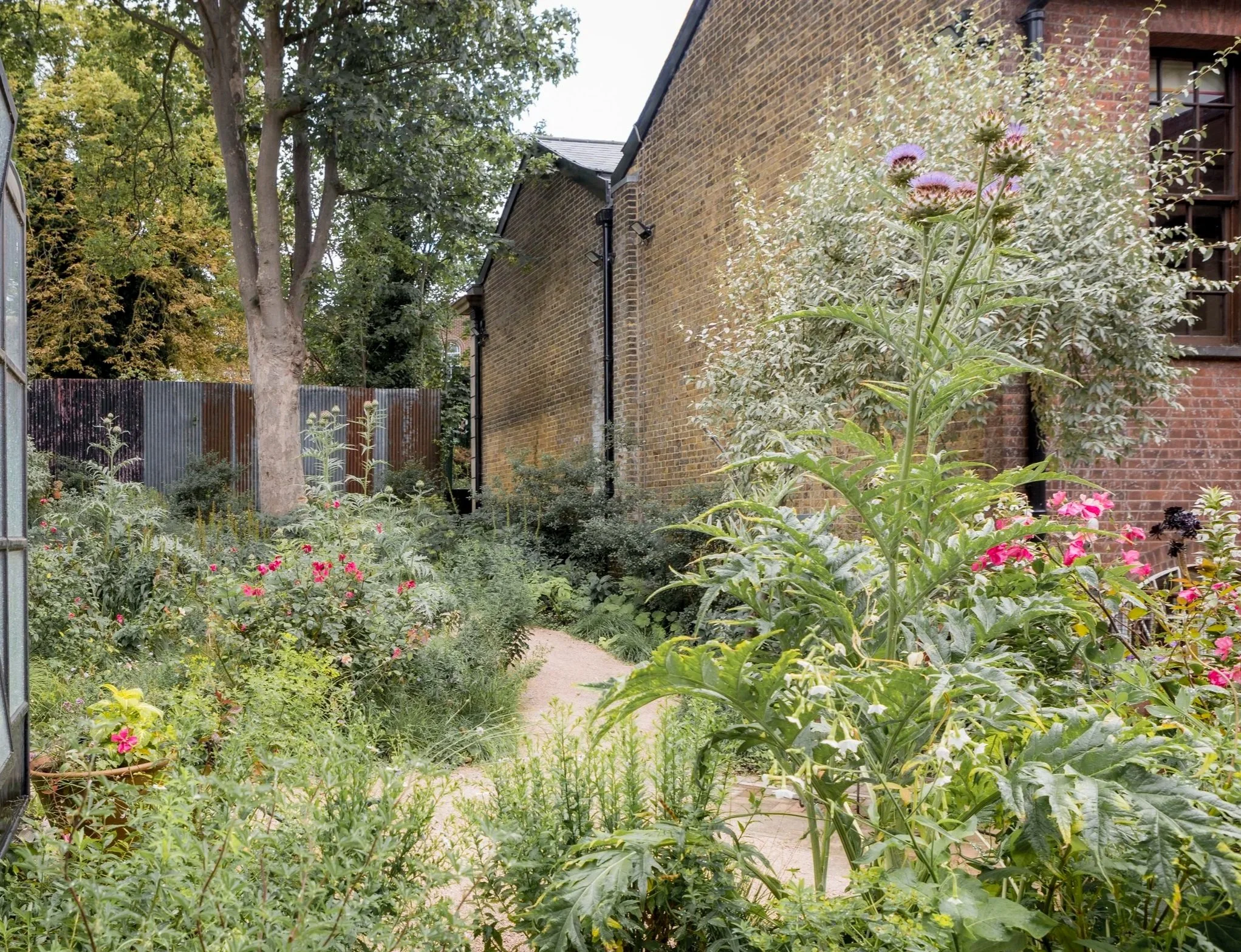 Garden June 25 IV.jpg